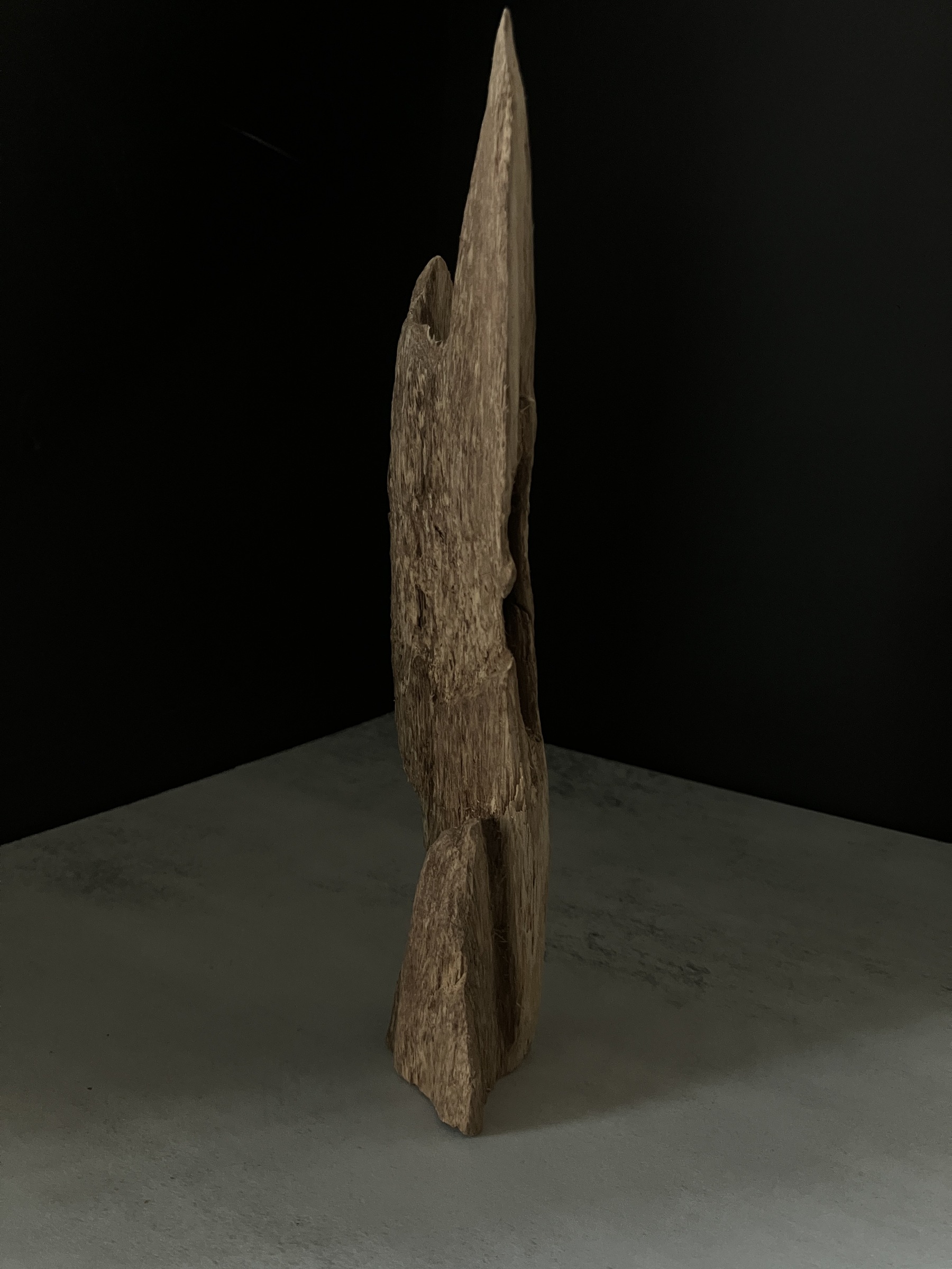 image_E1107DDC-D9CC-42DA-926F-FC13E7EC4303_1764748347