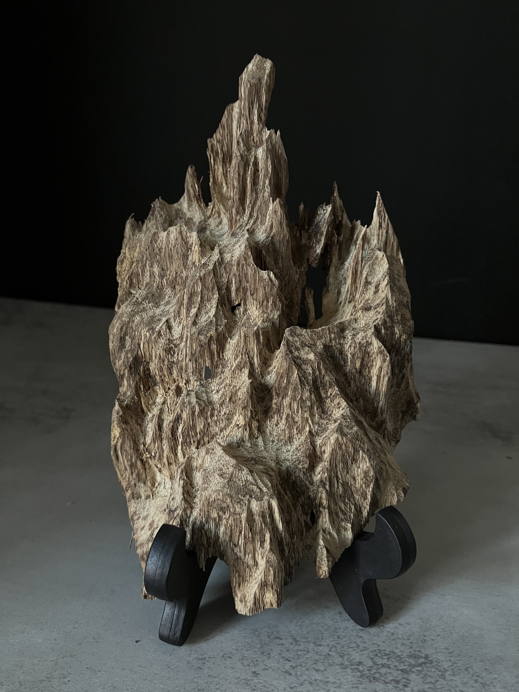 image_50FC392B-5EE0-4BF9-A67D-632FAE25C18D_1764748441