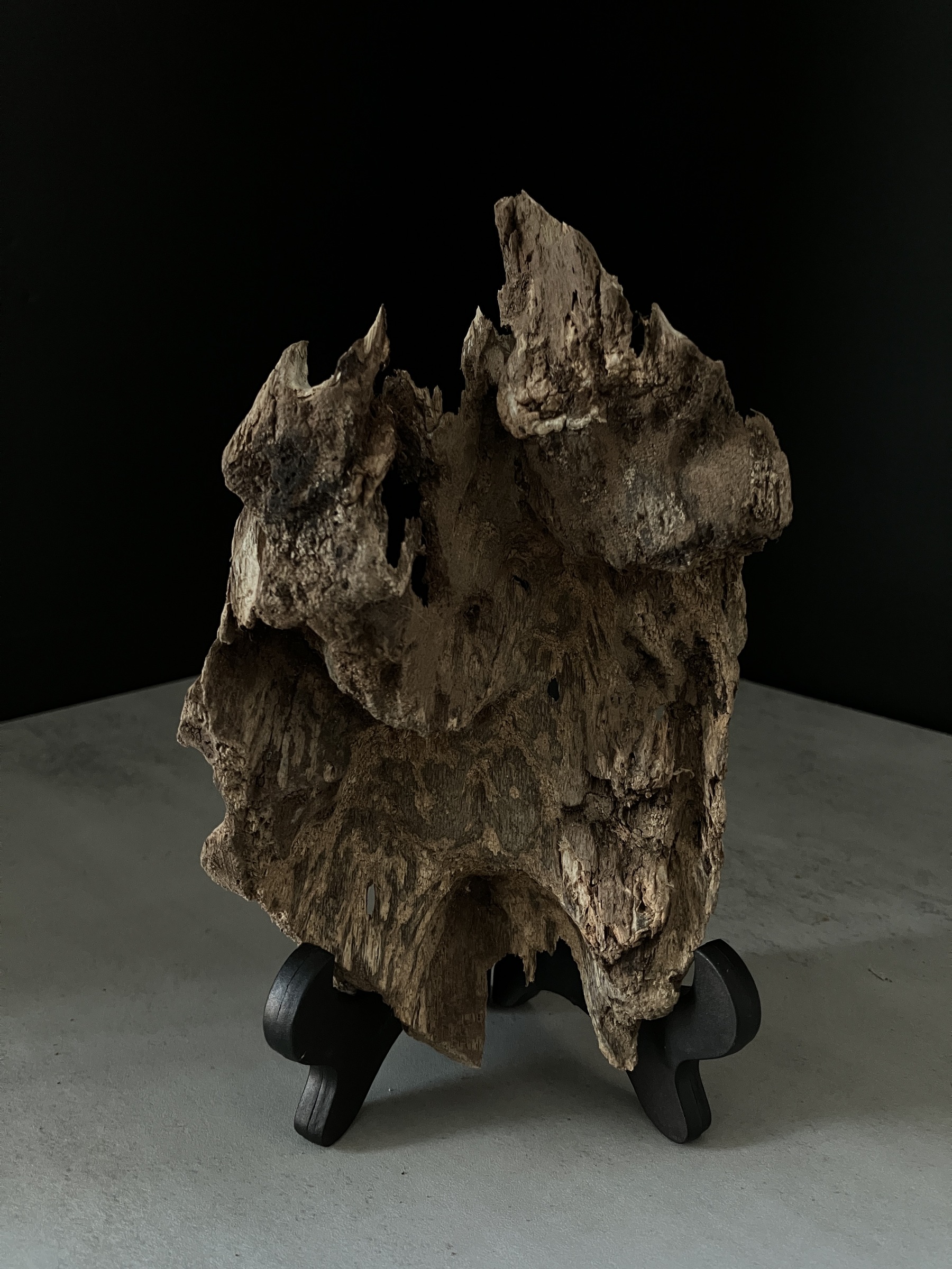 image_F4C09FD7-A1F3-4FF7-8248-77354D6185E6_1764748441