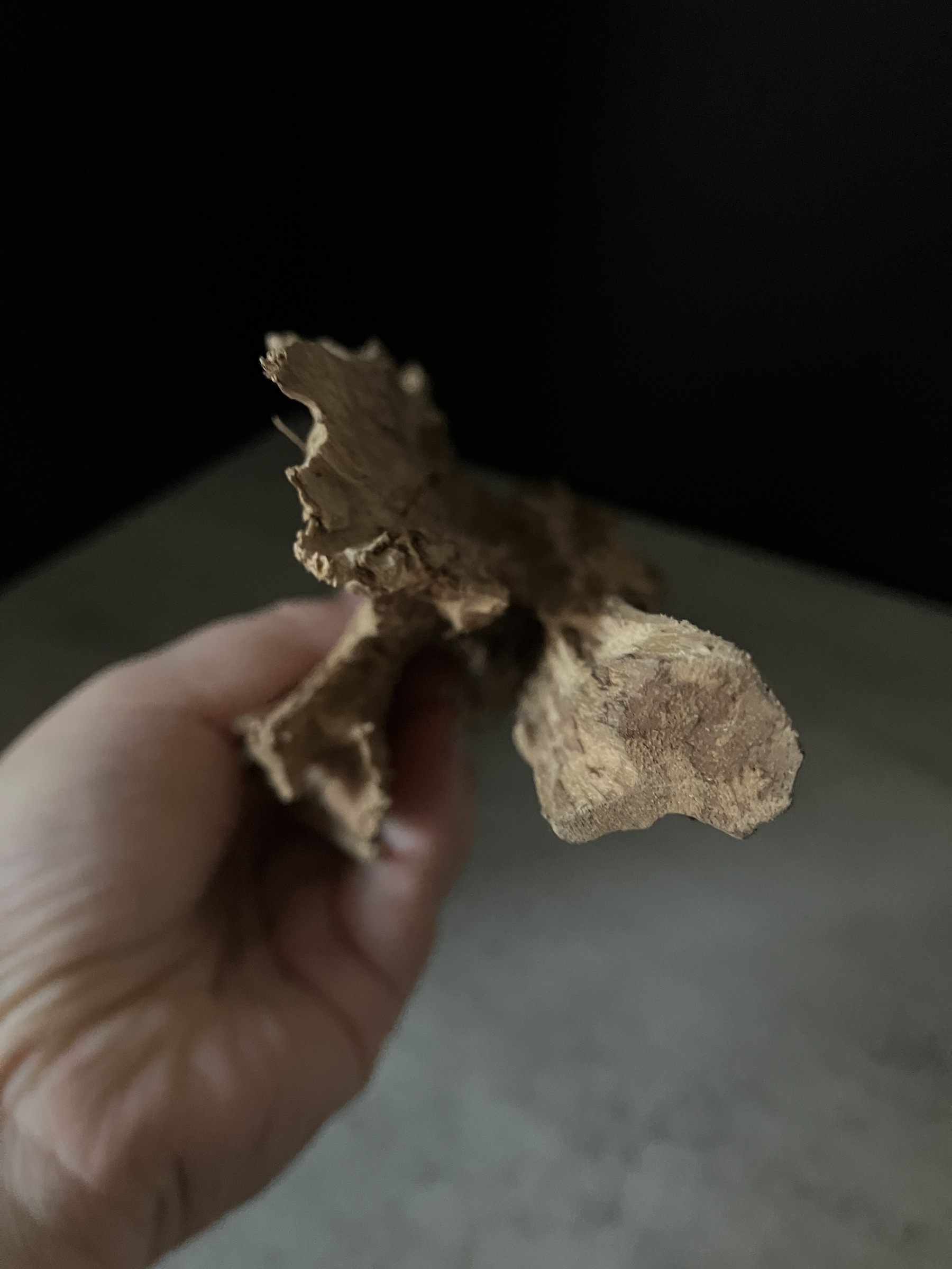 image_5F4CD80D-5105-4B7E-9D3D-F1FF6358A4AD_1764748536