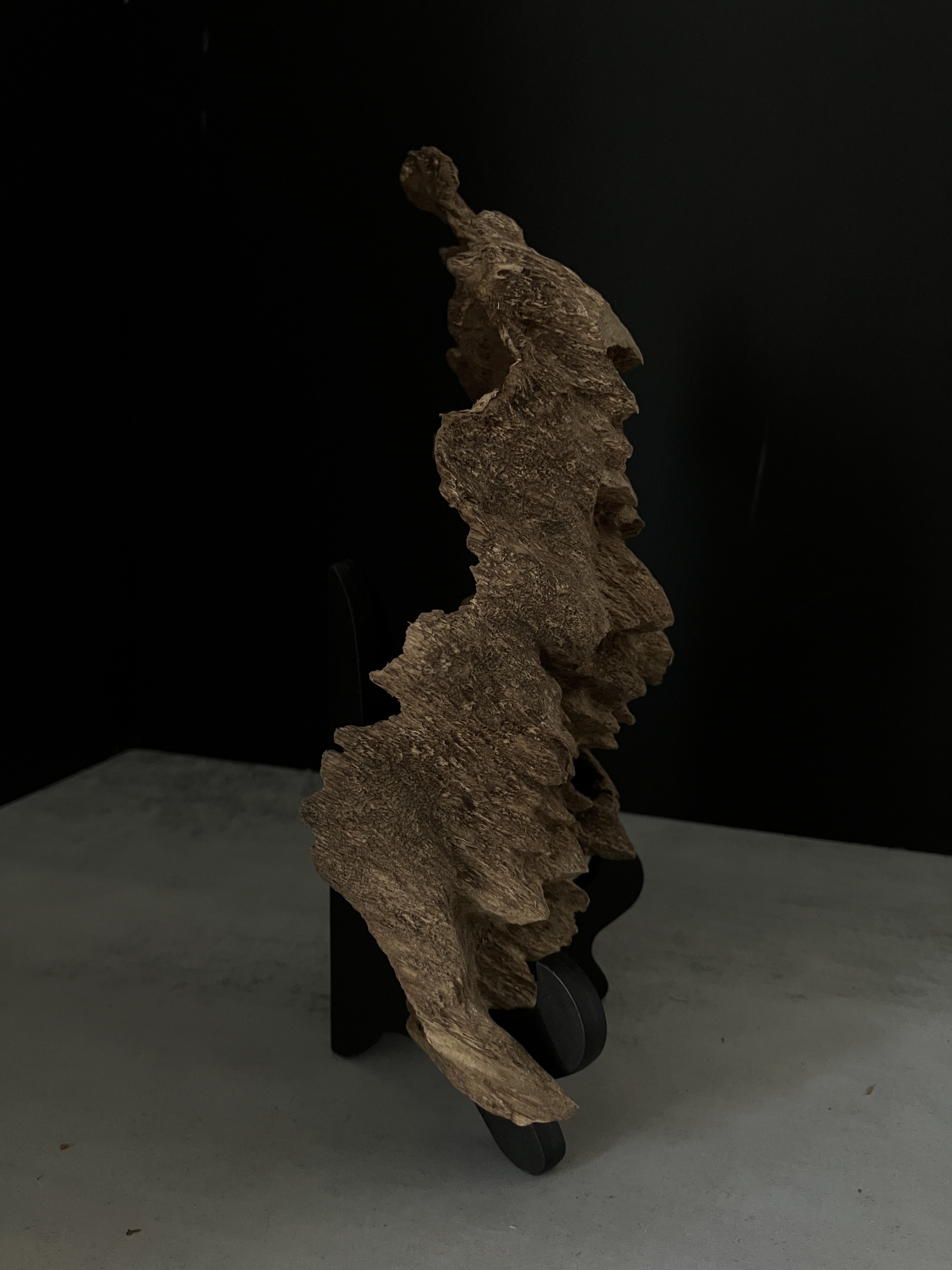 image_6AD114F9-3FCD-497A-9FF6-38764A5287FF_1764748671