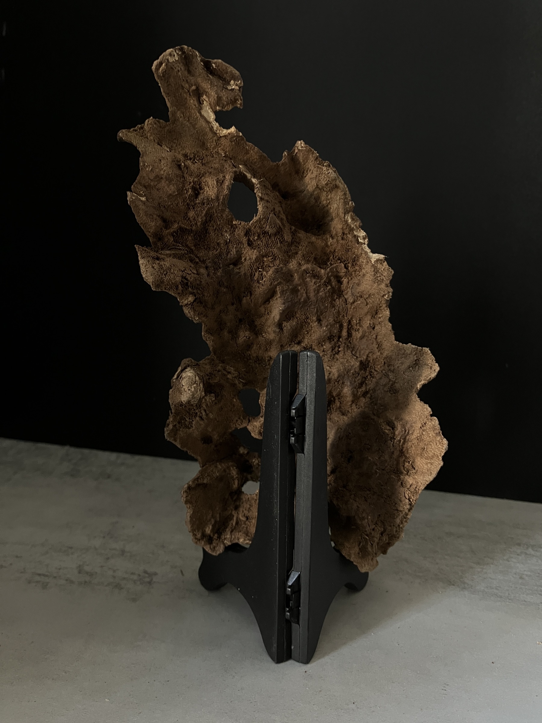 image_F4967305-15BD-4DA4-A5CE-24038934ADC9_1764748671