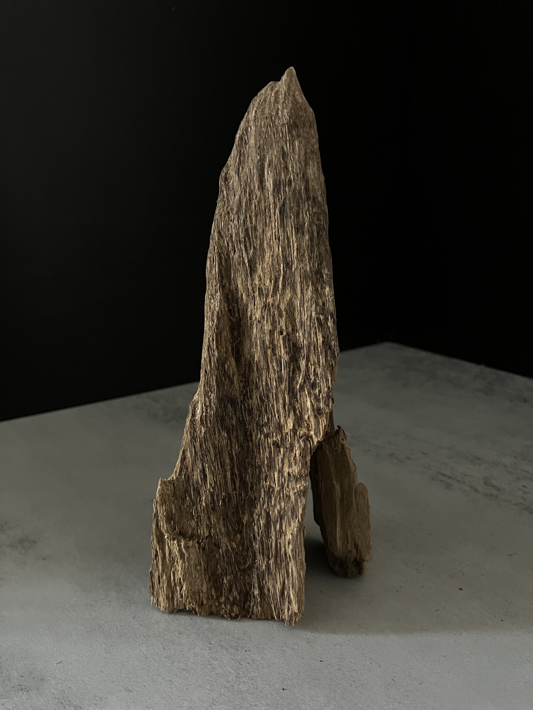 image_1A1C15DB-A1AC-45C5-95C0-BEF333AEF1DB_1764748787