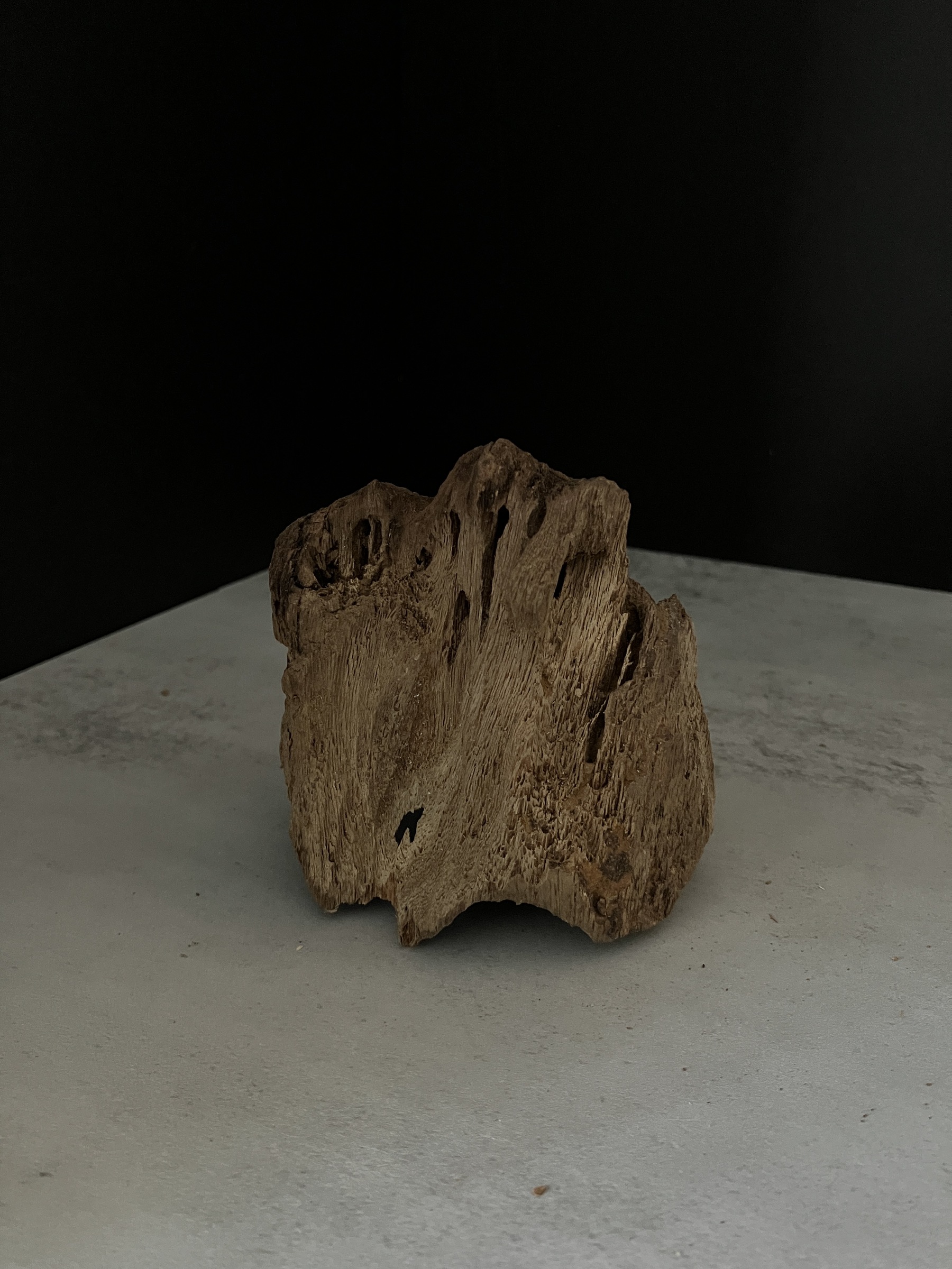 image_AD0BD12F-C7C4-48DB-A80E-8CD584BB3218_1764748875