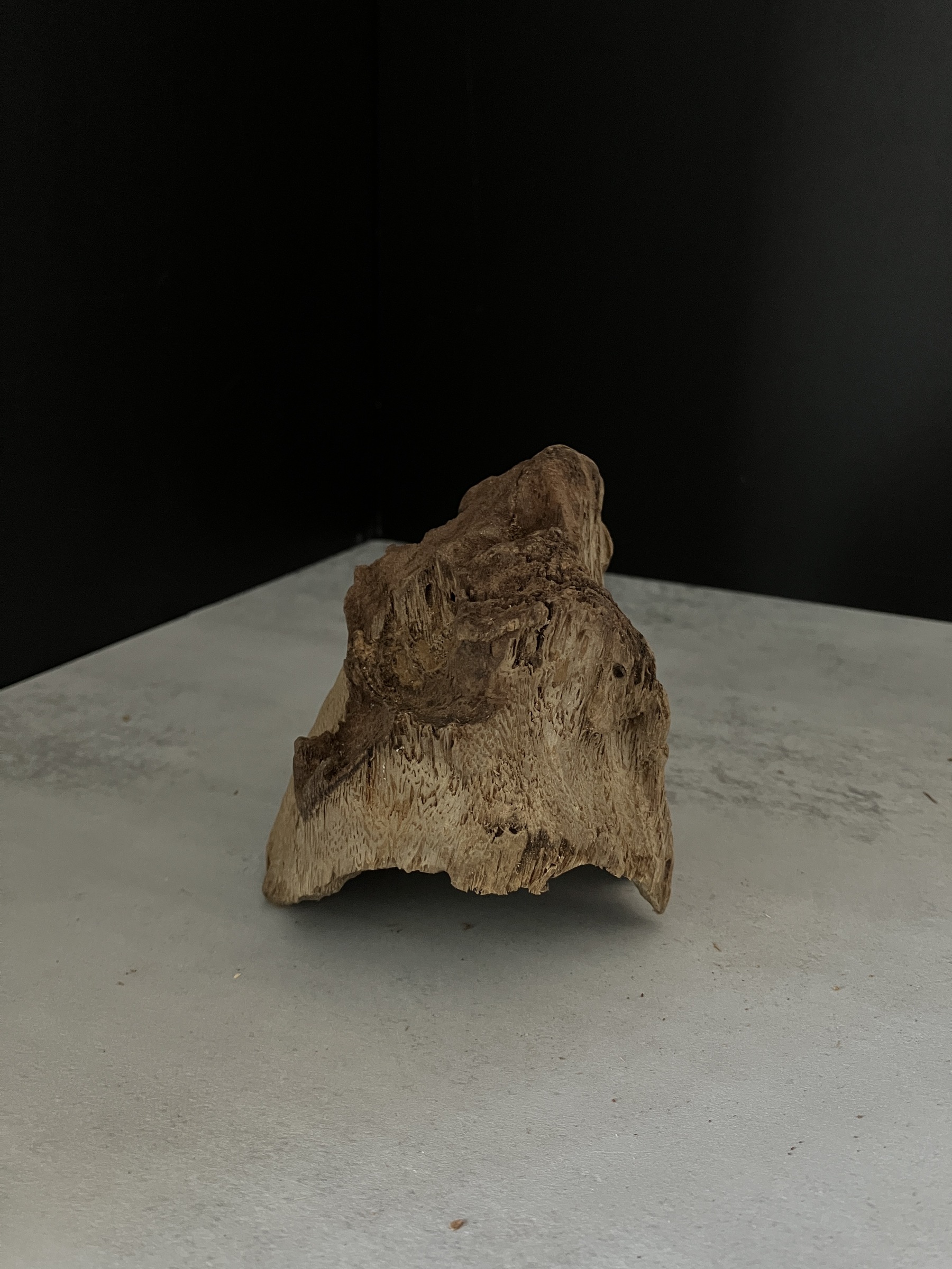 image_DBA460BB-BF3E-4262-9F62-B4C08429B6B9_1764748875