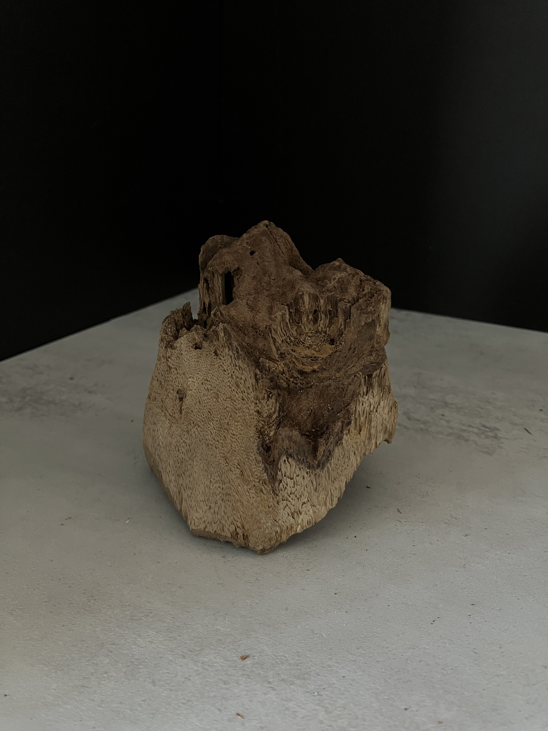 image_F8C51436-6025-40CD-9E3E-EAB9D41322FB_1764748875