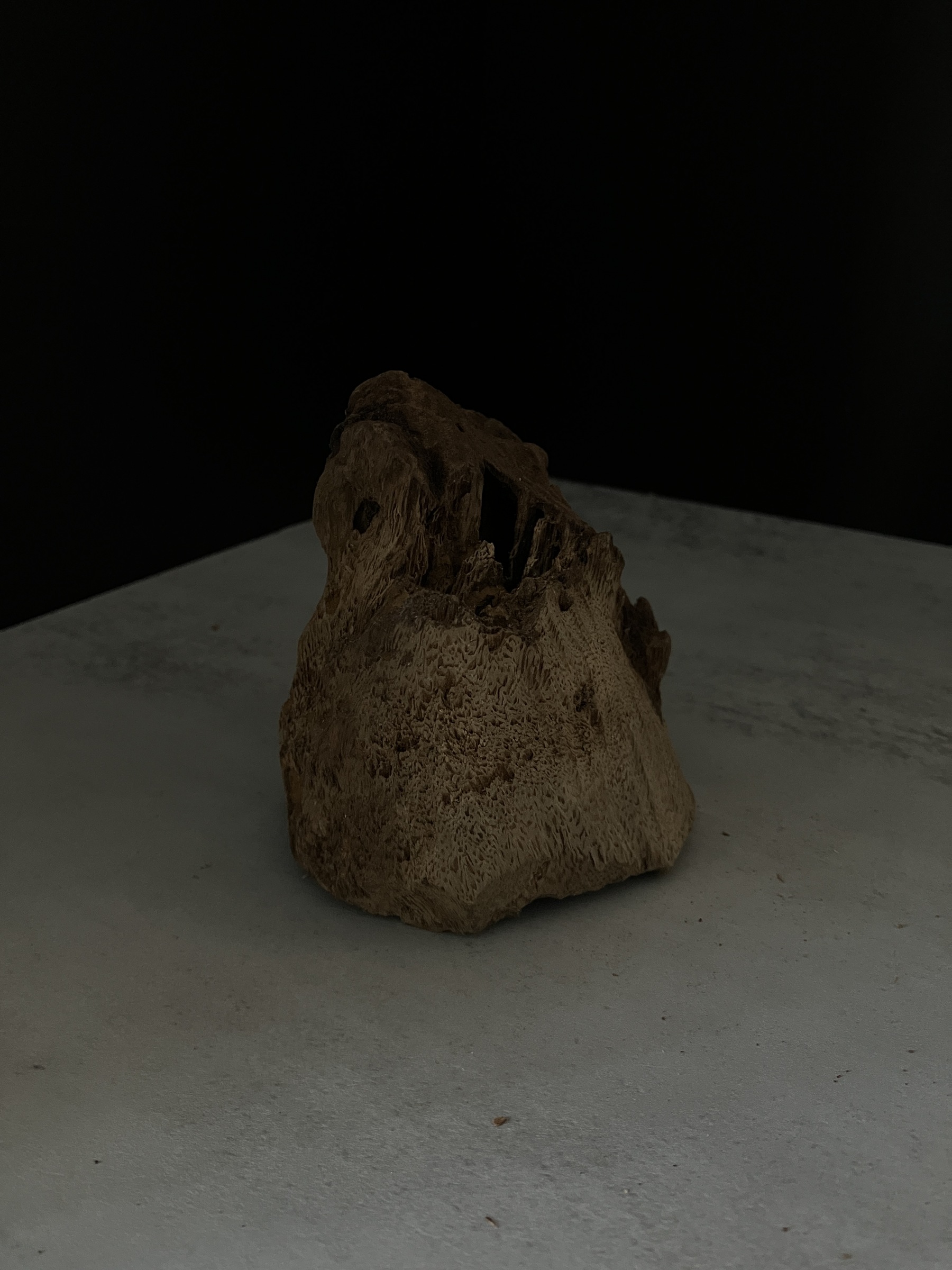 image_55921E8D-BB62-4EE6-9E7F-631BD6B7682A_1764748875