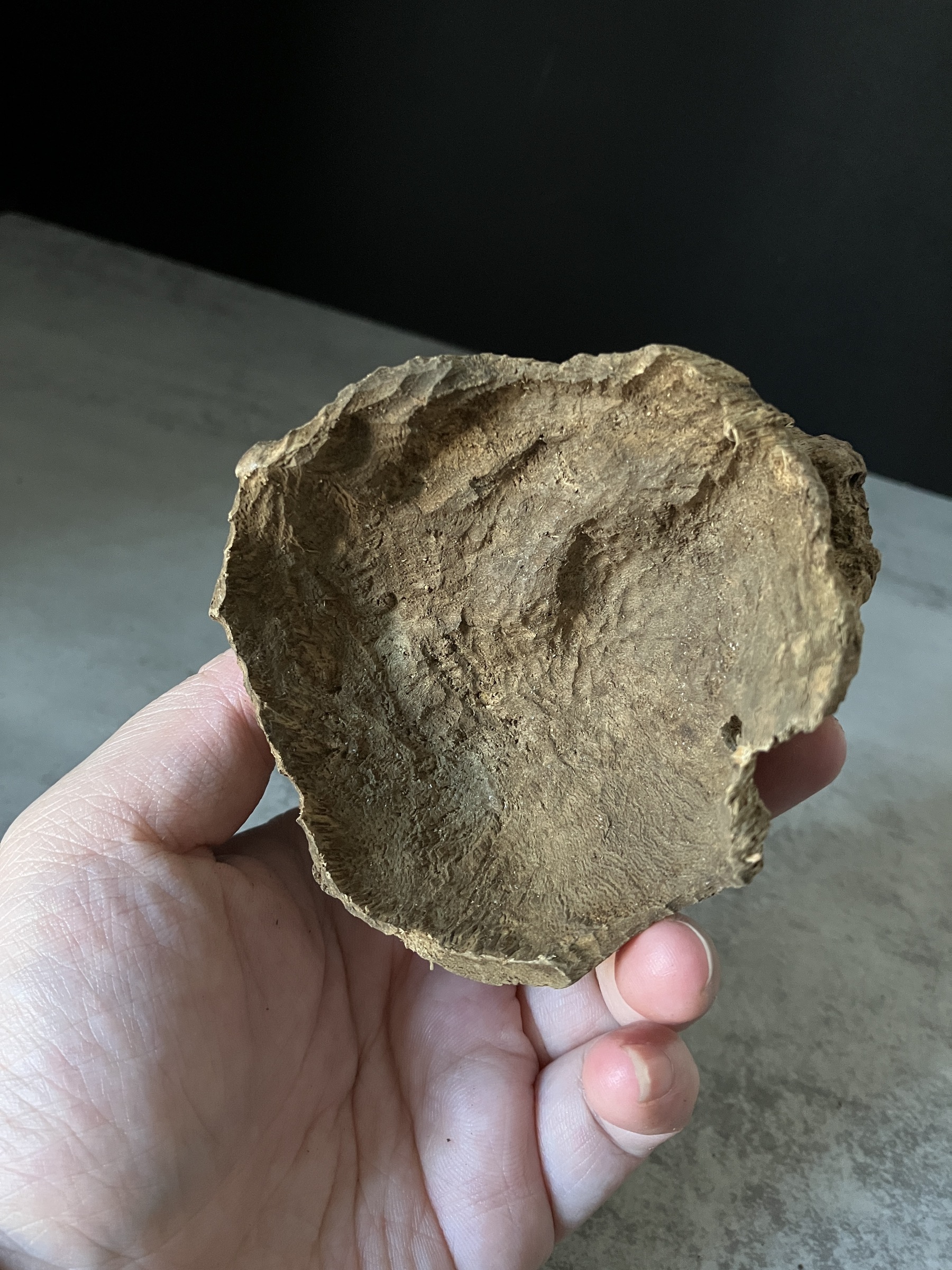 image_D7F4DD13-52DD-4444-979A-BEF07F44DD79_1764748875