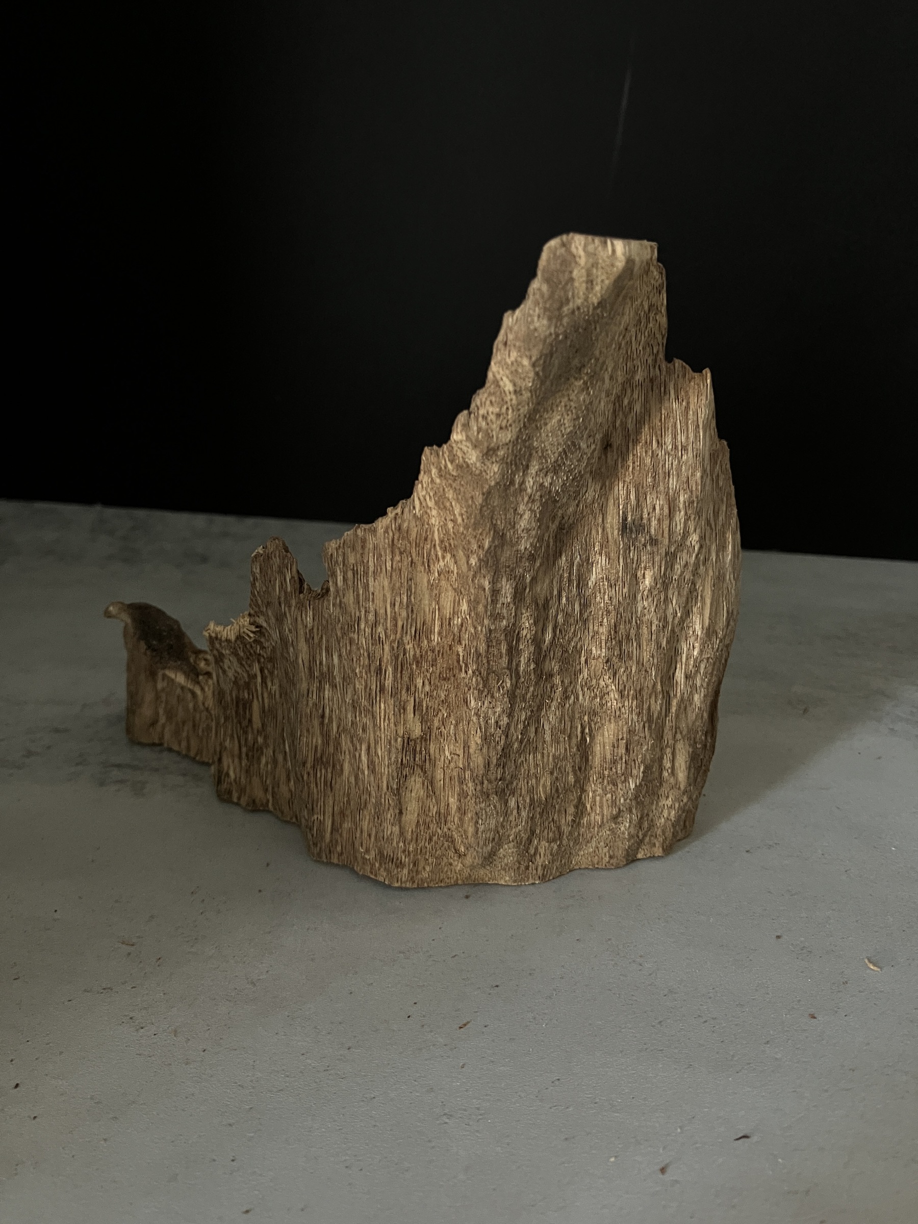 image_0E138D62-7613-487A-BAC9-13EDE7ED8A91_1765180141