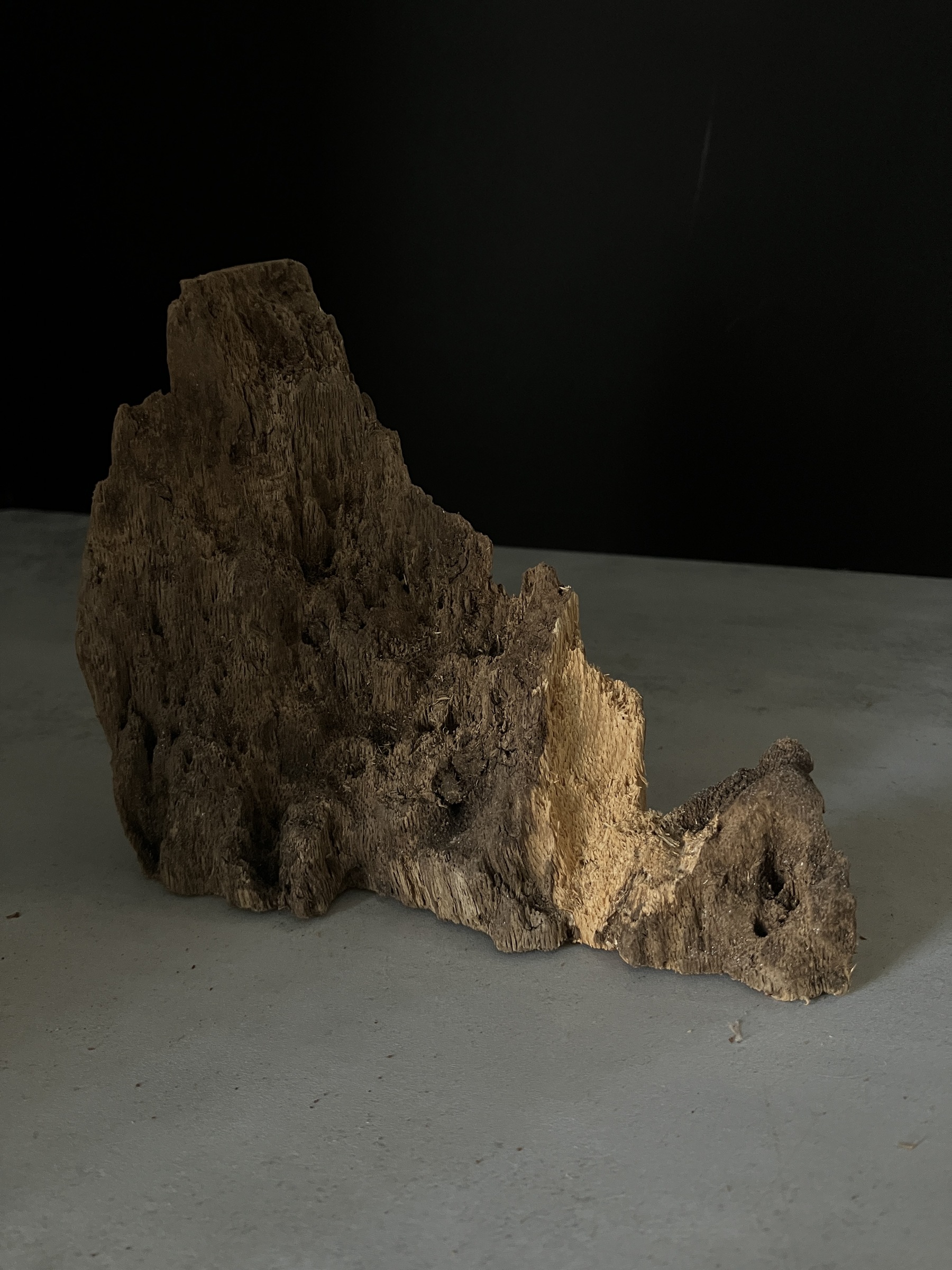 image_774E564D-299A-4D5B-BCFB-3AAA8AFA7070_1765180141