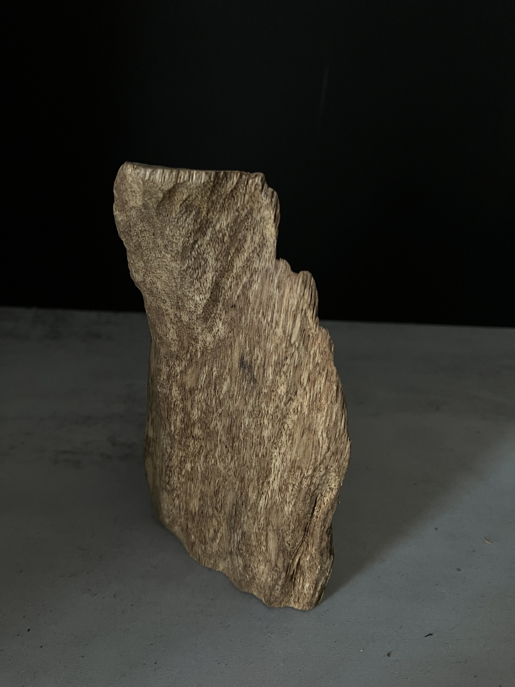 image_D08194D5-D78F-4C9C-A814-B41864D33664_1765180141