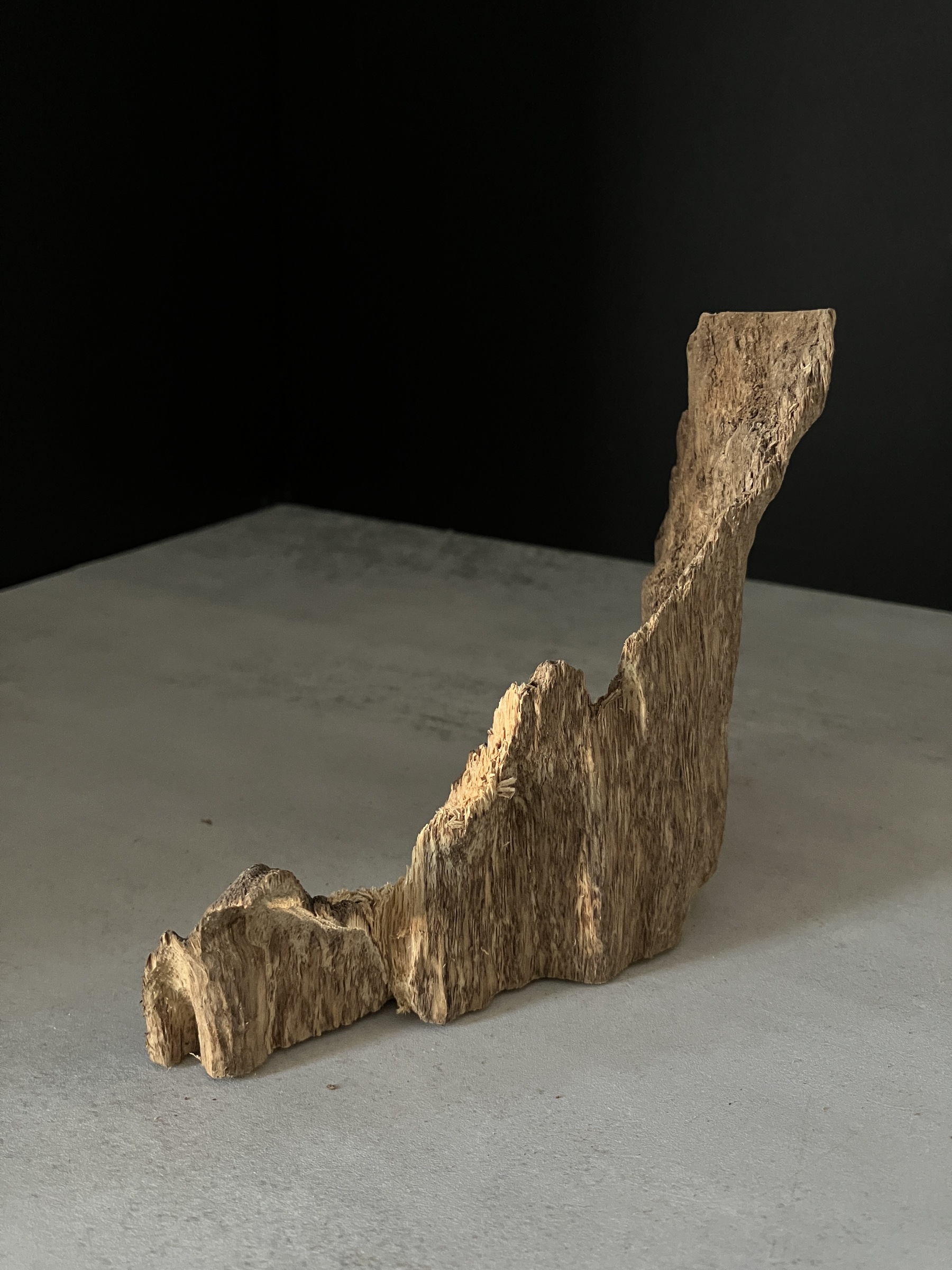 image_D1FAF43F-A8C7-46C0-97B1-7128022CAC5A_1765180141