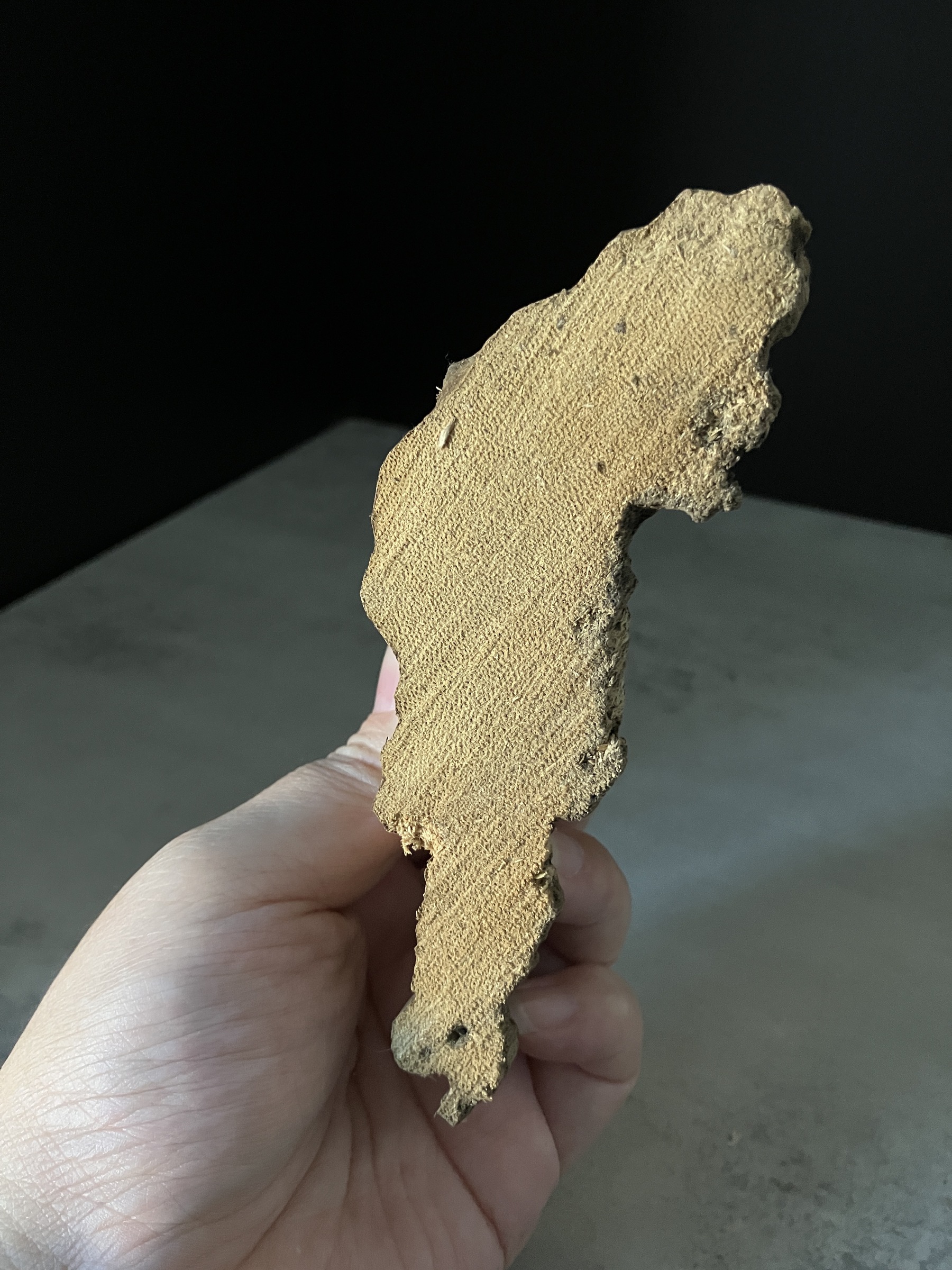 image_C58E51F8-C952-4C9D-900B-38103739CCE7_1765180141