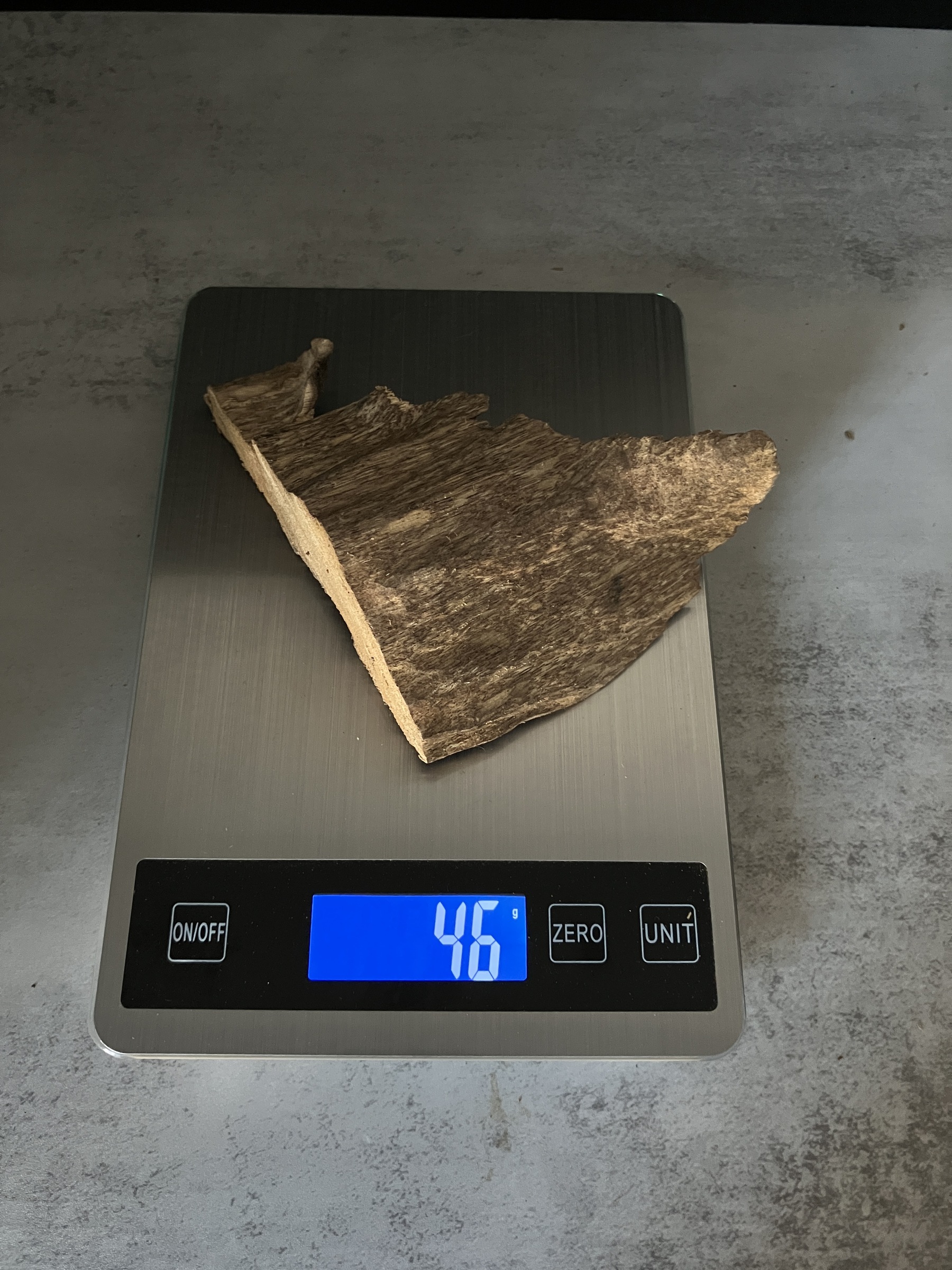 image_A909B72E-0A40-49C5-AB73-342654129BFF_1765180141