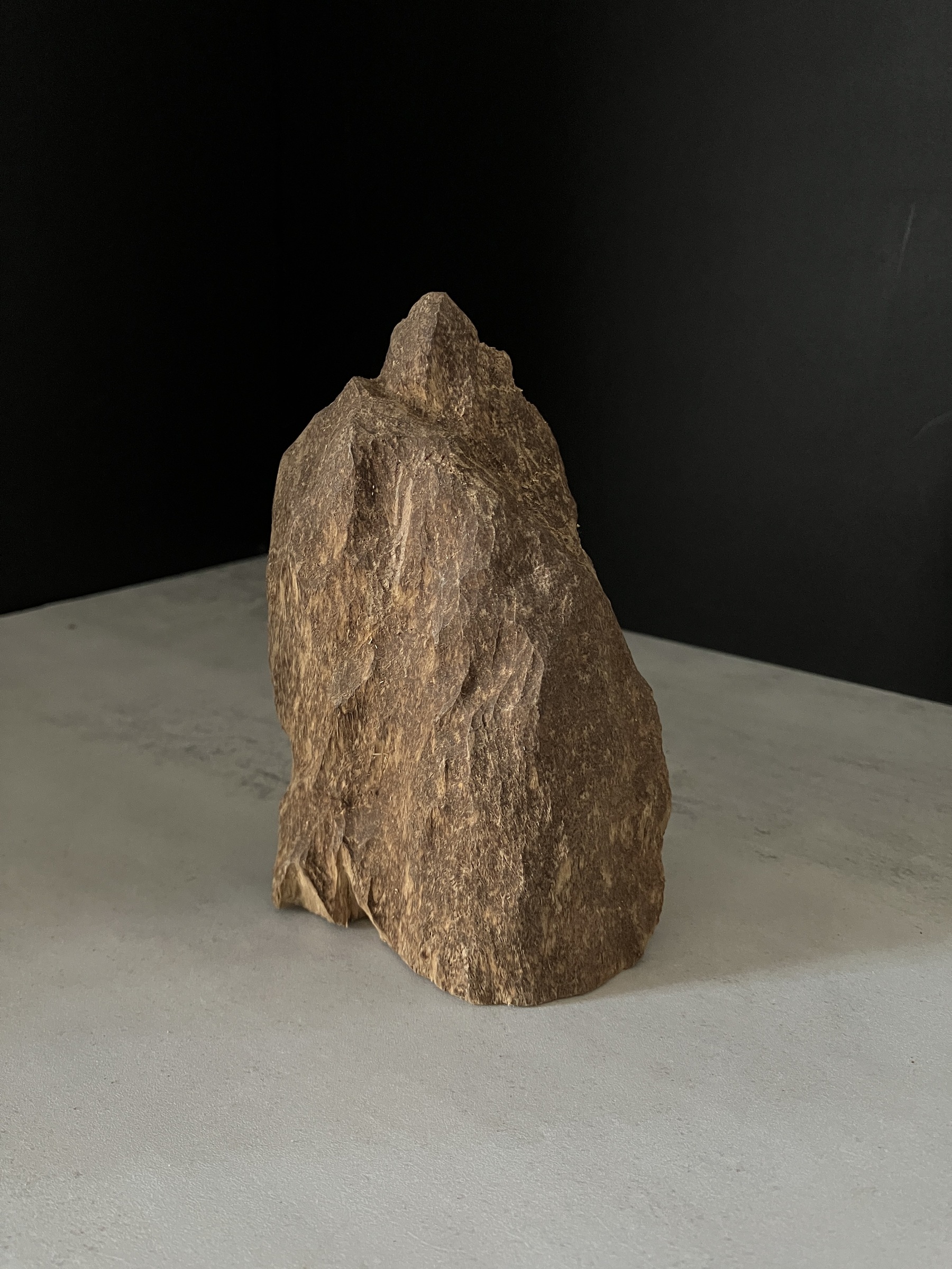 image_53094417-6672-409F-9FEC-FDC89DCC4C34_1765180259