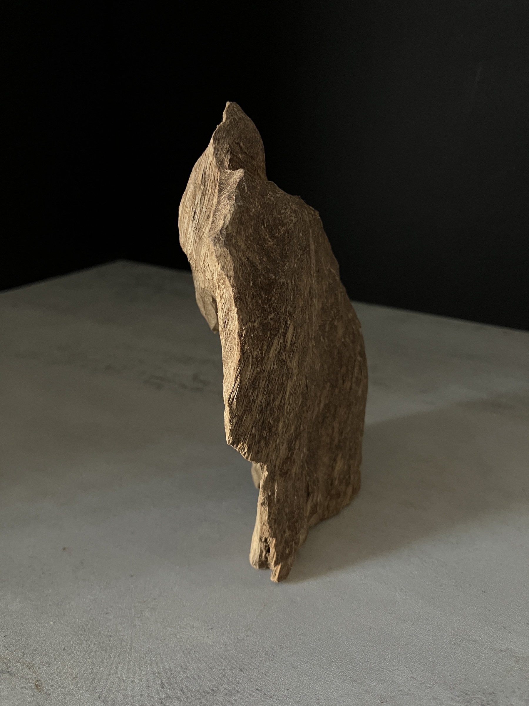 image_70F75EA0-AFC3-4354-85DA-4616420D9527_1765180259