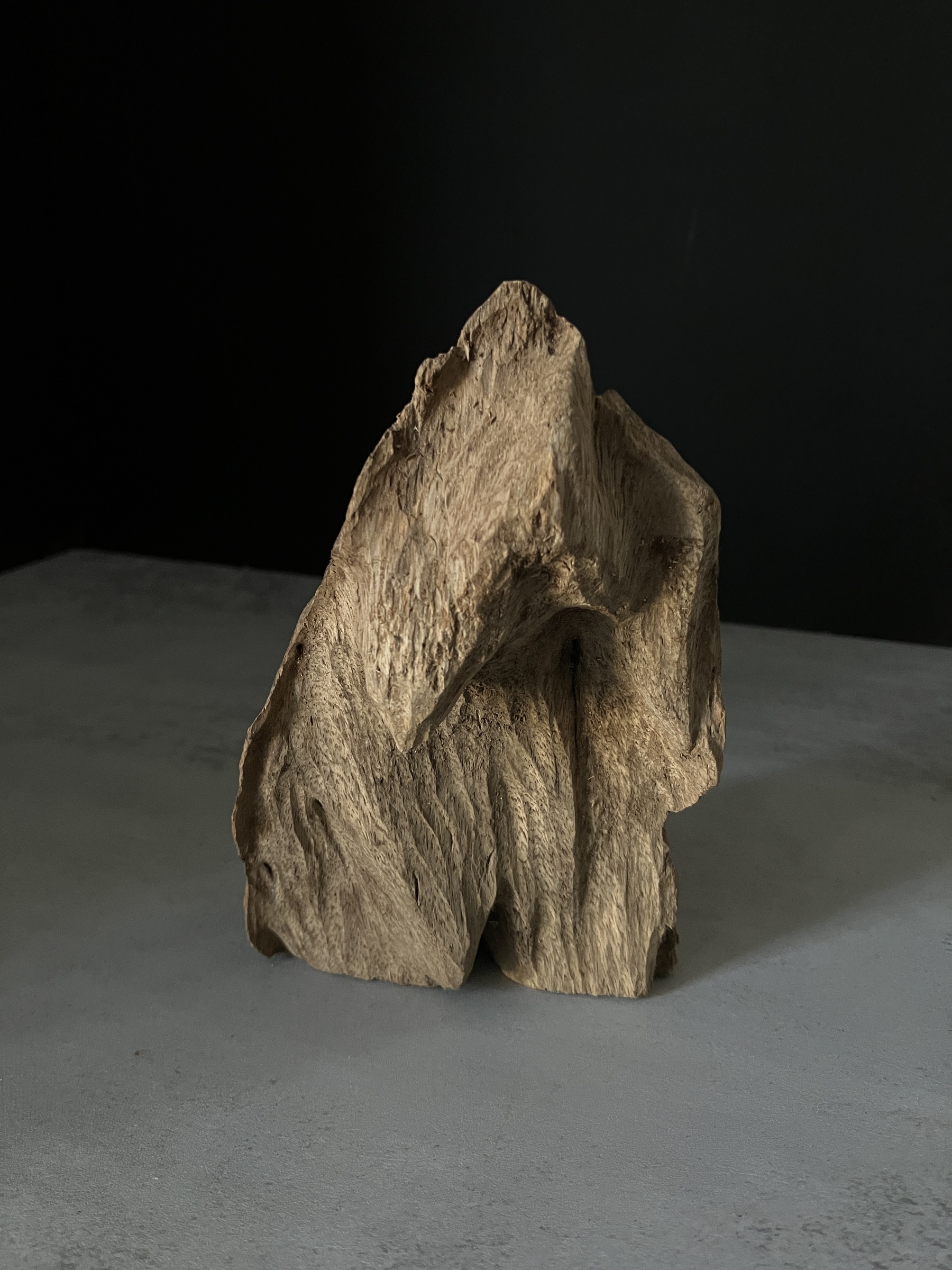 image_0F40CB94-C5CD-4CB9-A088-5B8F1A67C046_1765180259