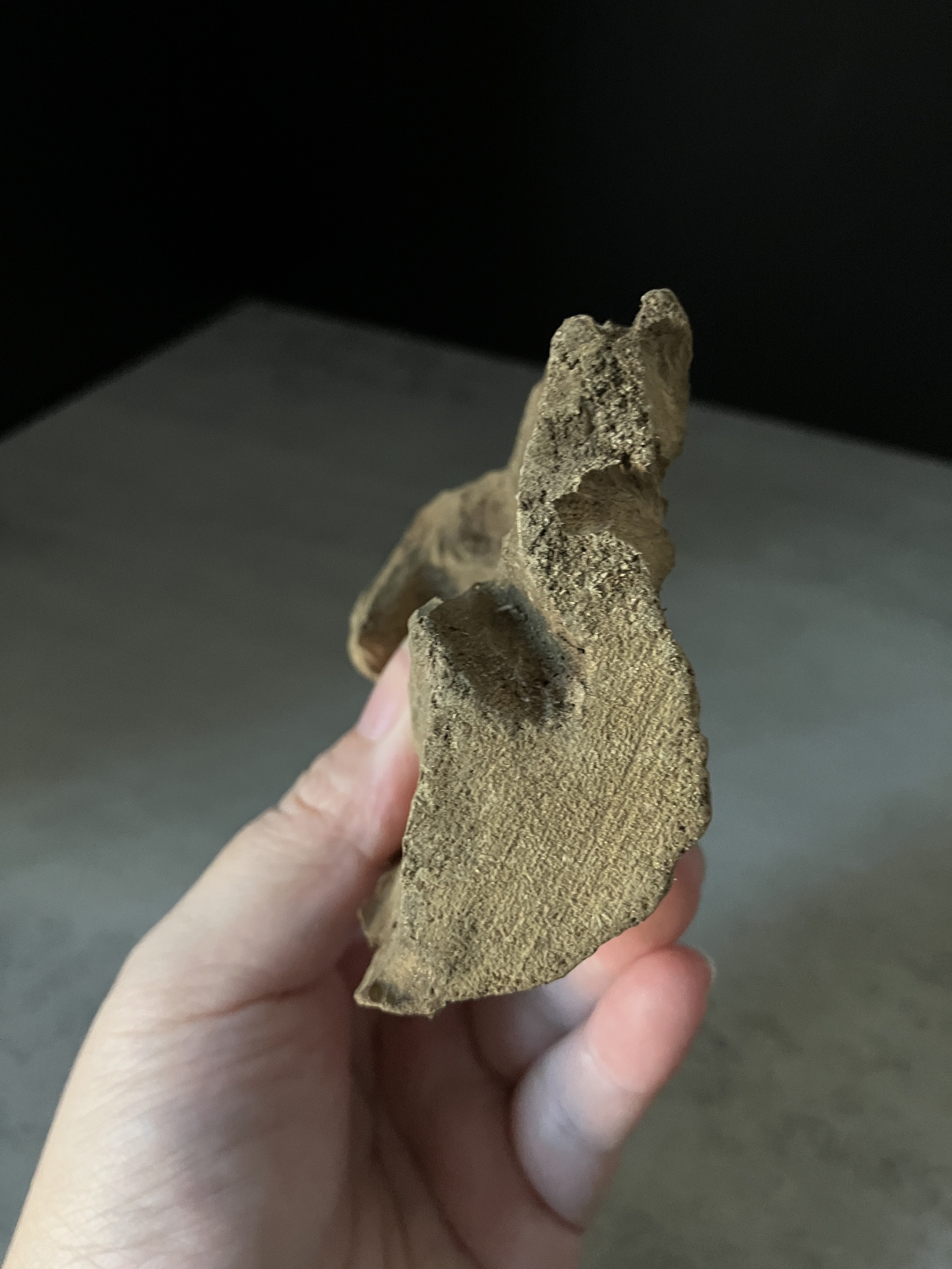 image_CC8D6BAE-EC28-446D-9681-CF1B2DACAED6_1765180259