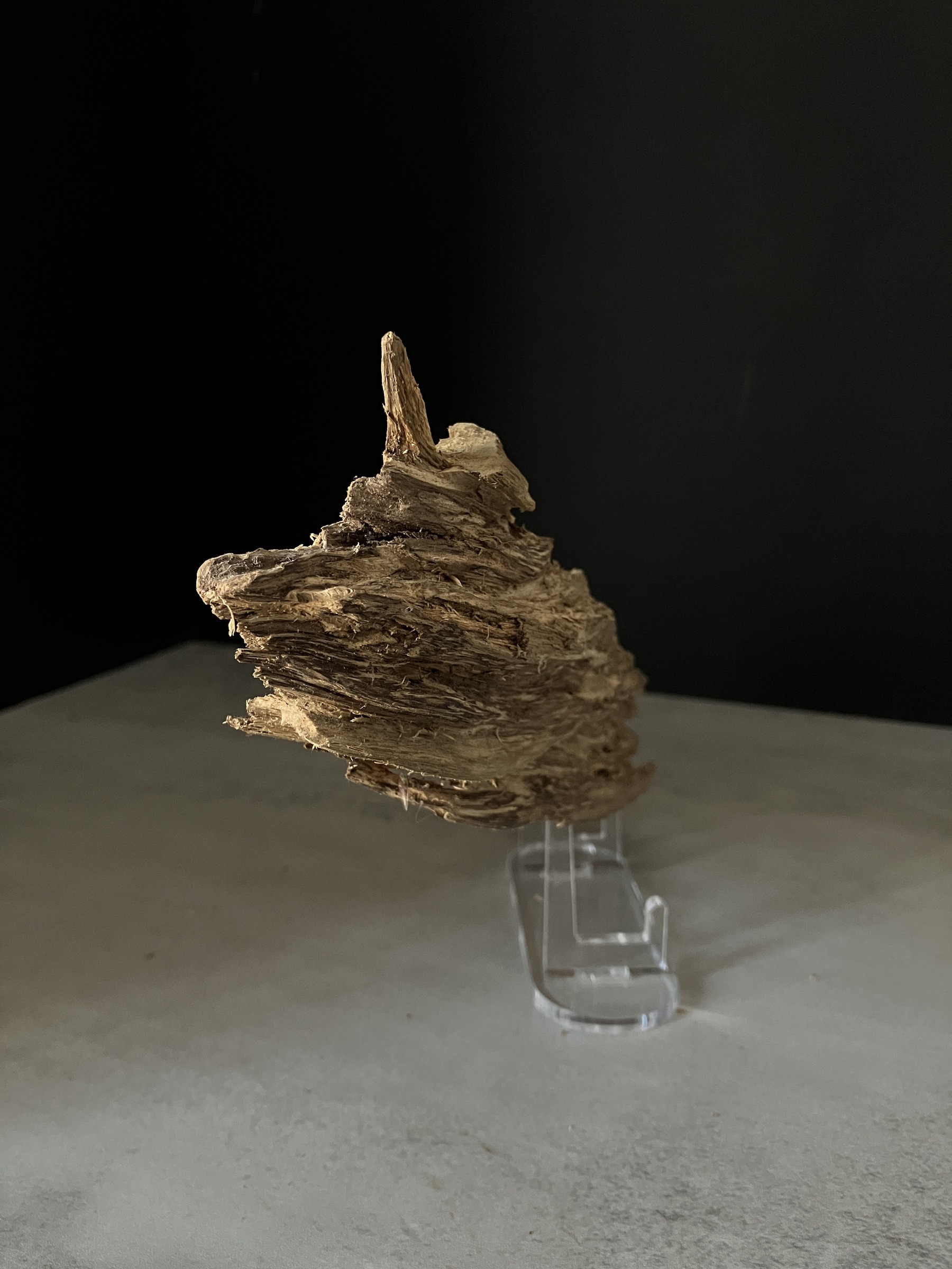 image_EF721632-CDBD-4F74-8F00-18DCB1208C73_1765180386