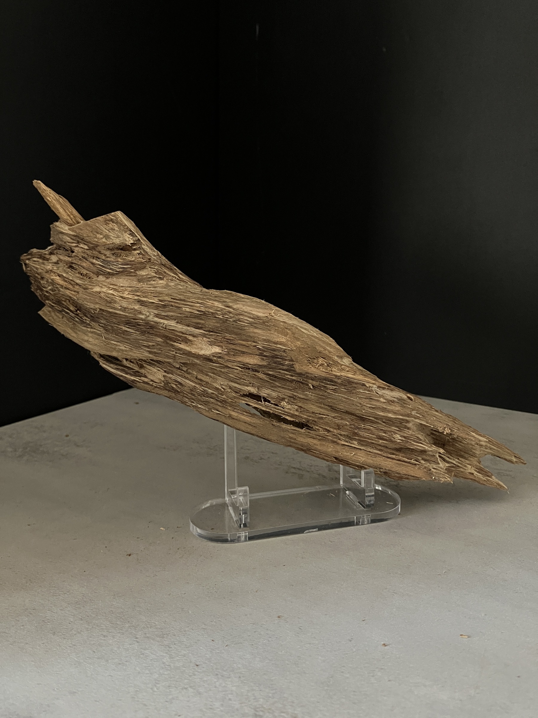 image_46CDDEB8-575B-40E1-86F6-1F854224F3B0_1765180386