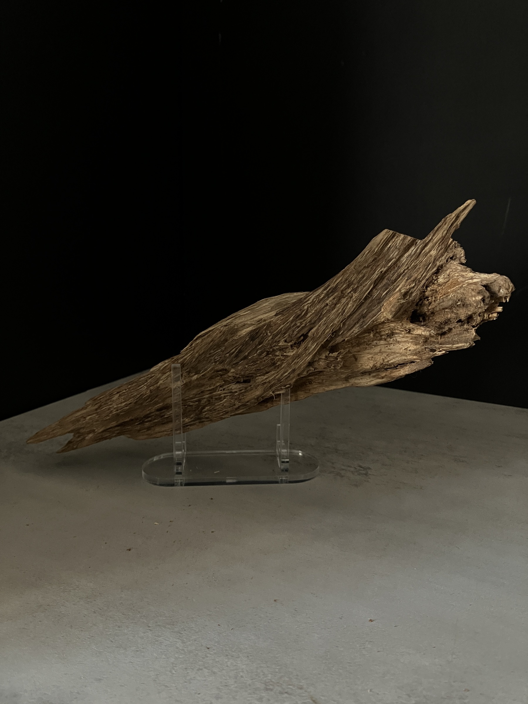 image_C44F35E7-0621-4B18-BF10-DF2E9D89639C_1765180386