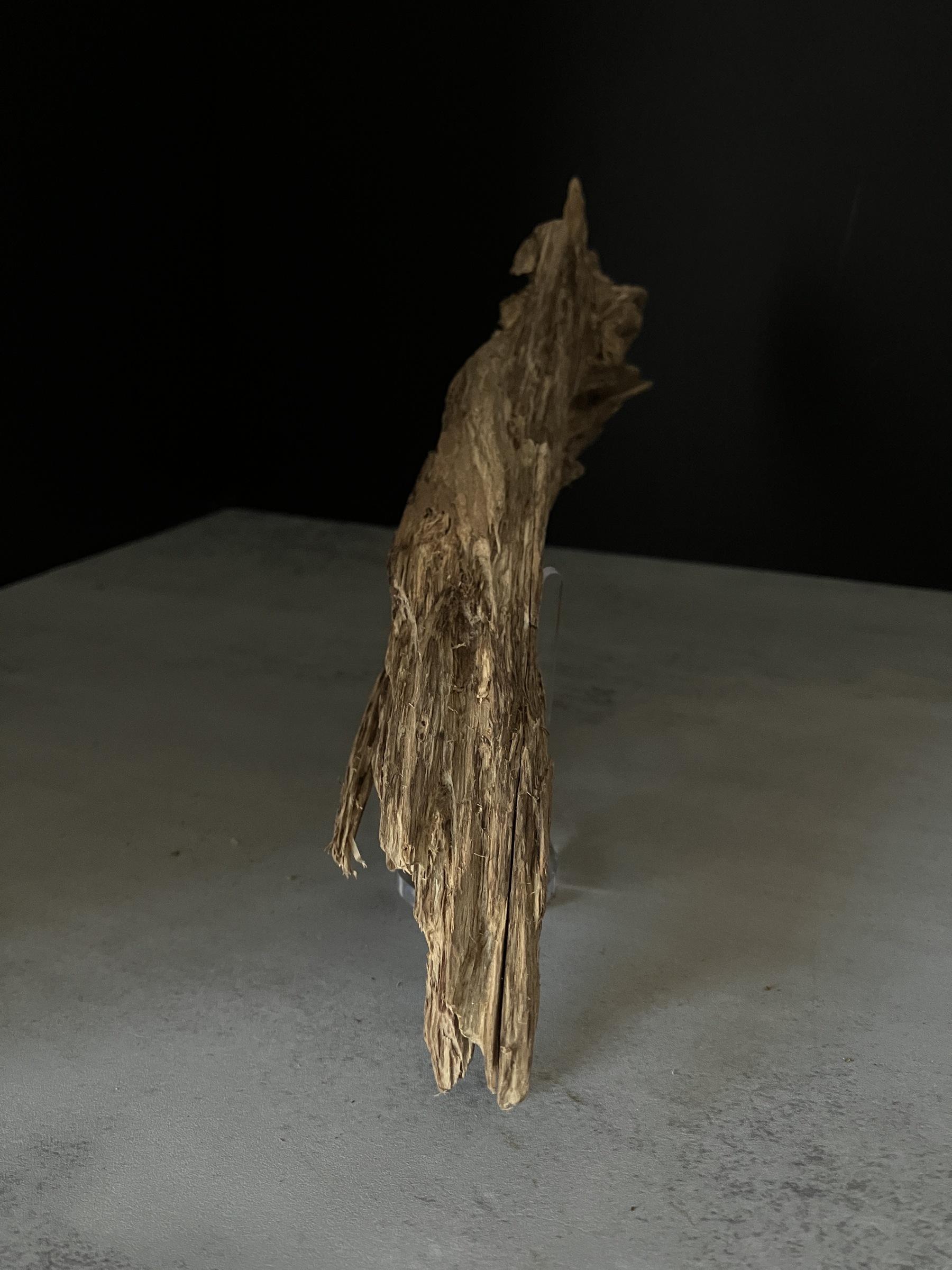 image_B8EEAE78-EEA0-4661-AE58-87BC94639182_1765180386