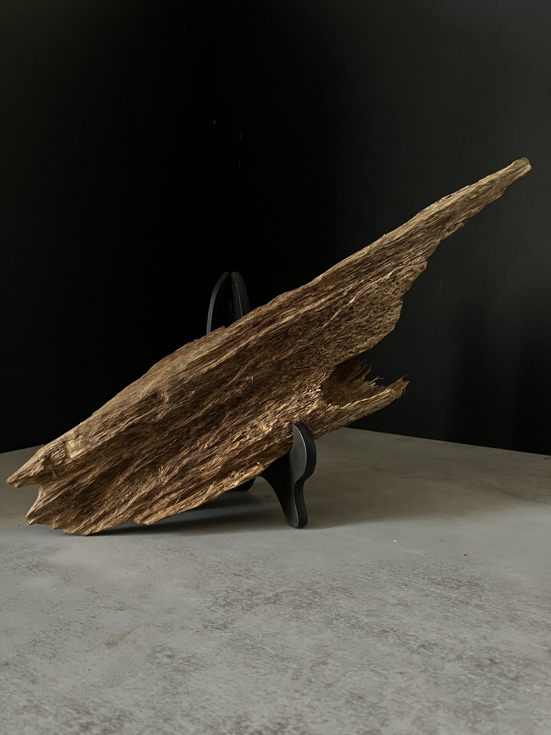 image_F759E44A-4EBF-472D-A708-DABCC58F5CAF_1765180485