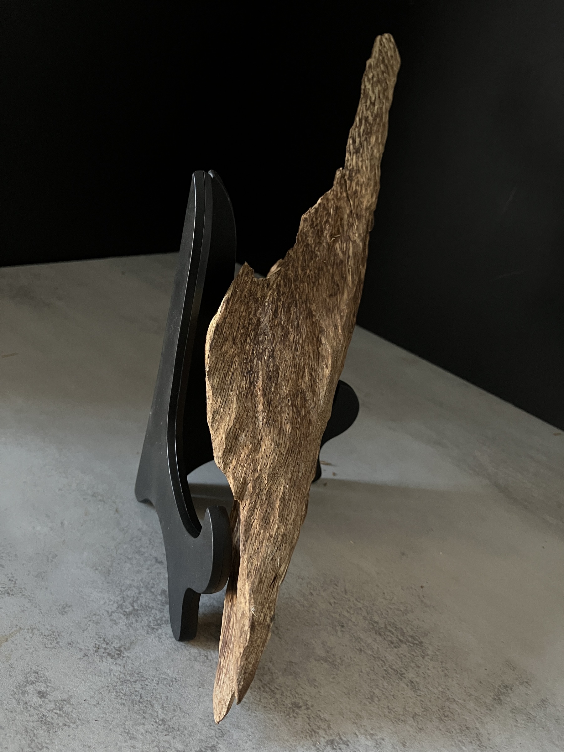 image_37DBA91A-C436-4207-86B3-AF0E0A915A07_1765180485