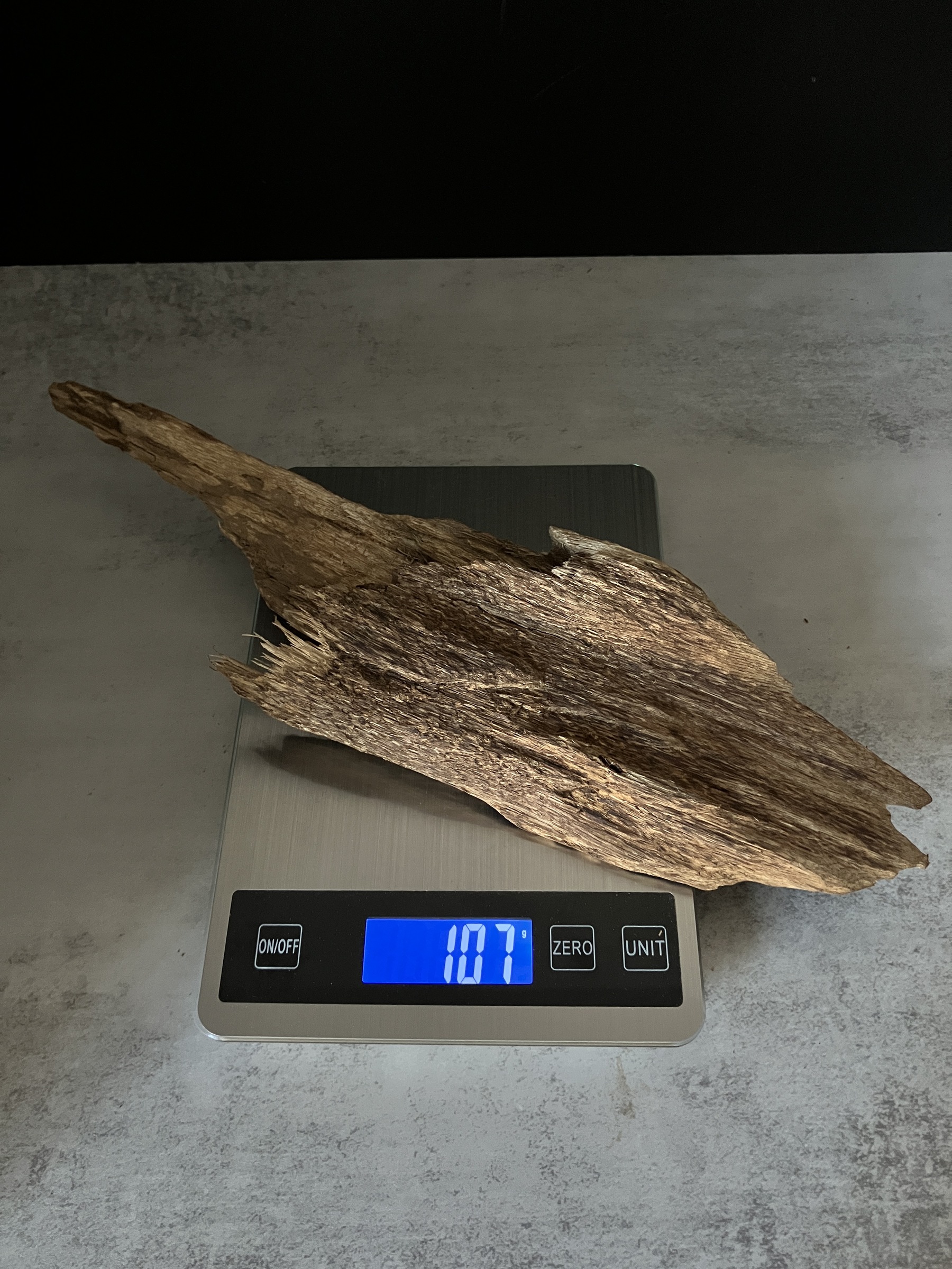 image_C8806209-03A6-4A07-8221-D2E99AC75158_1765180485