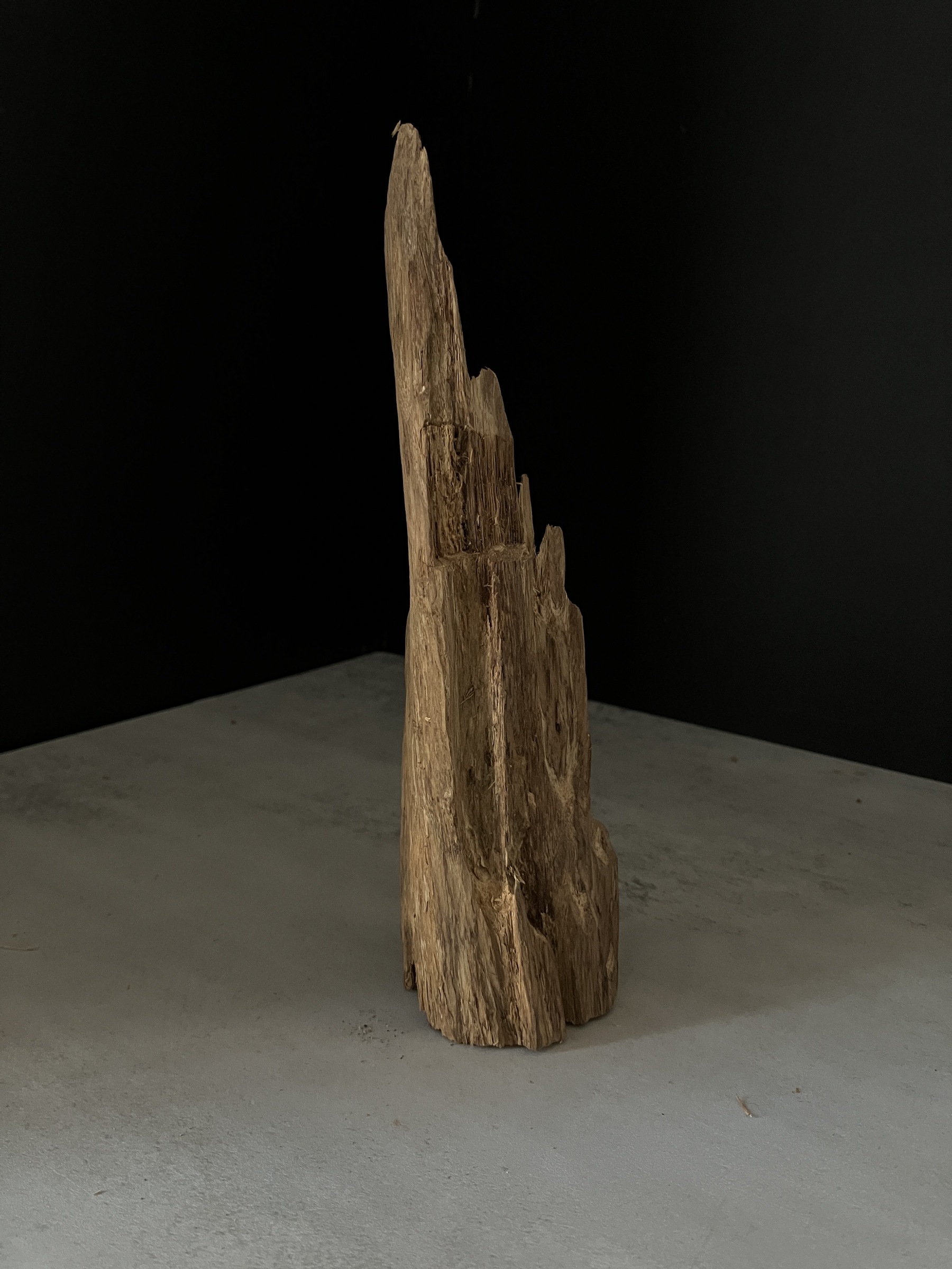 image_B8190BB7-E596-4943-8D33-791ADCA623E6_1765180596