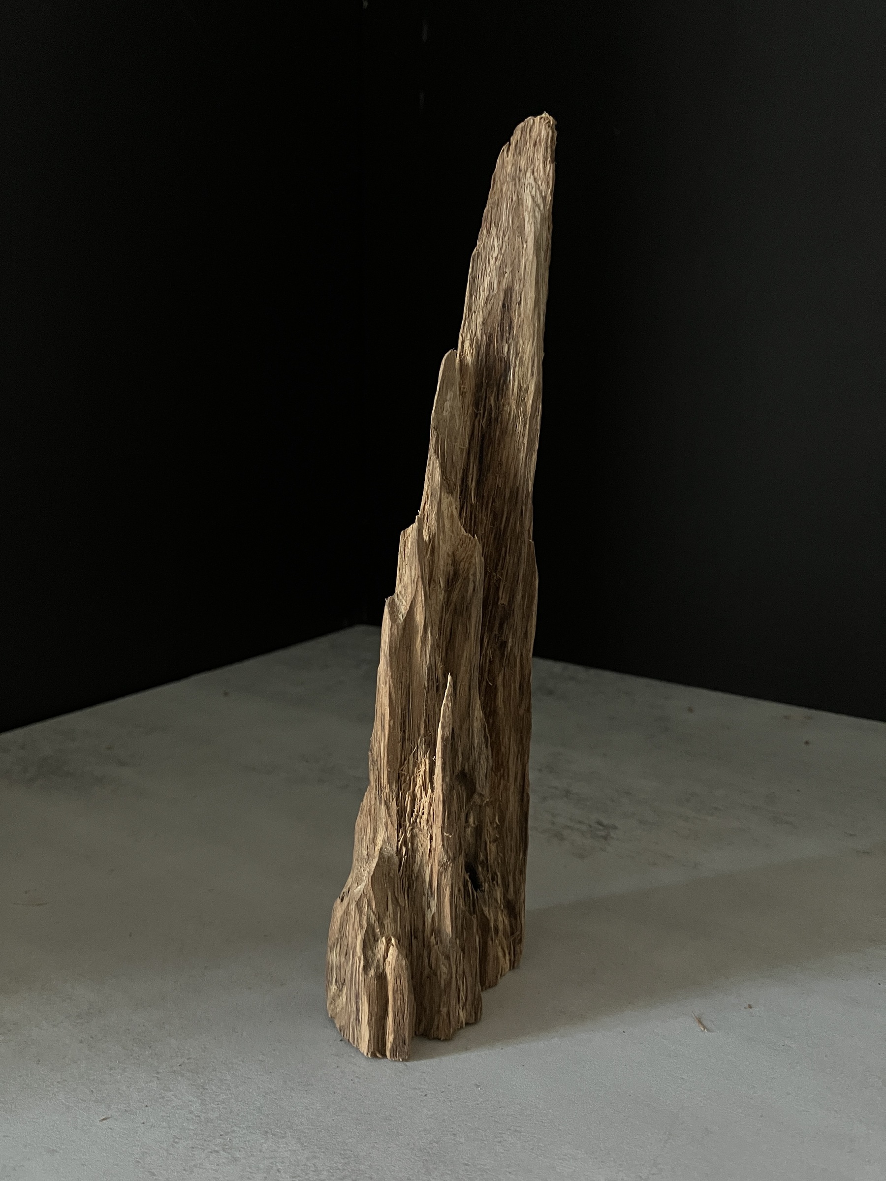 image_43490EC3-05C8-41E9-8313-99EB8FD04CA0_1765180596