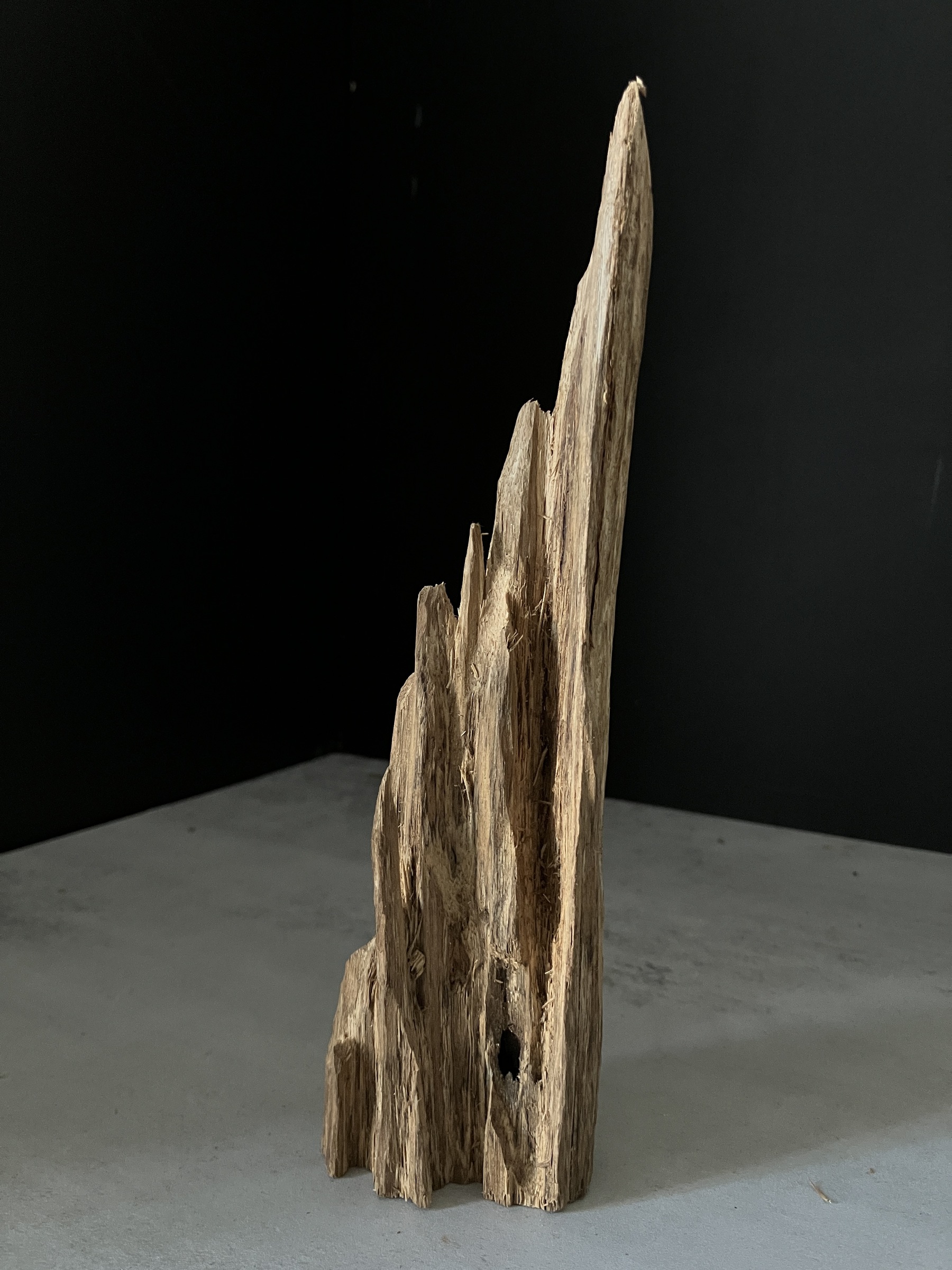 image_EB11D40E-2F05-43DB-BBC0-598C5C37059A_1765180596