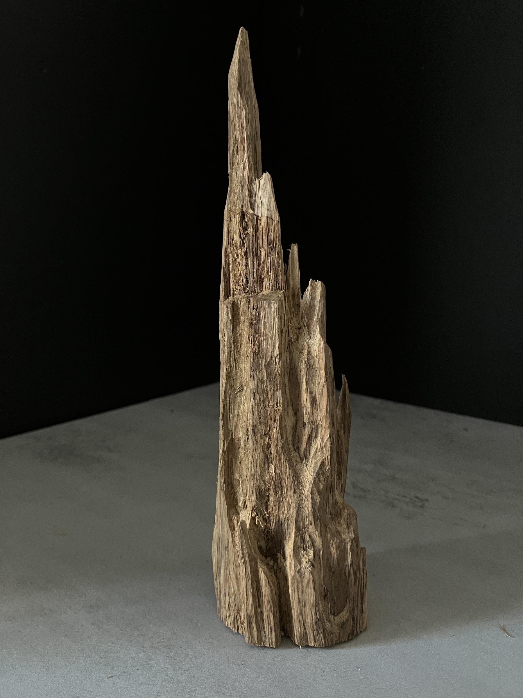 image_1C6C8E53-D5B3-408B-B5BD-F1AAB2631FE0_1765180596