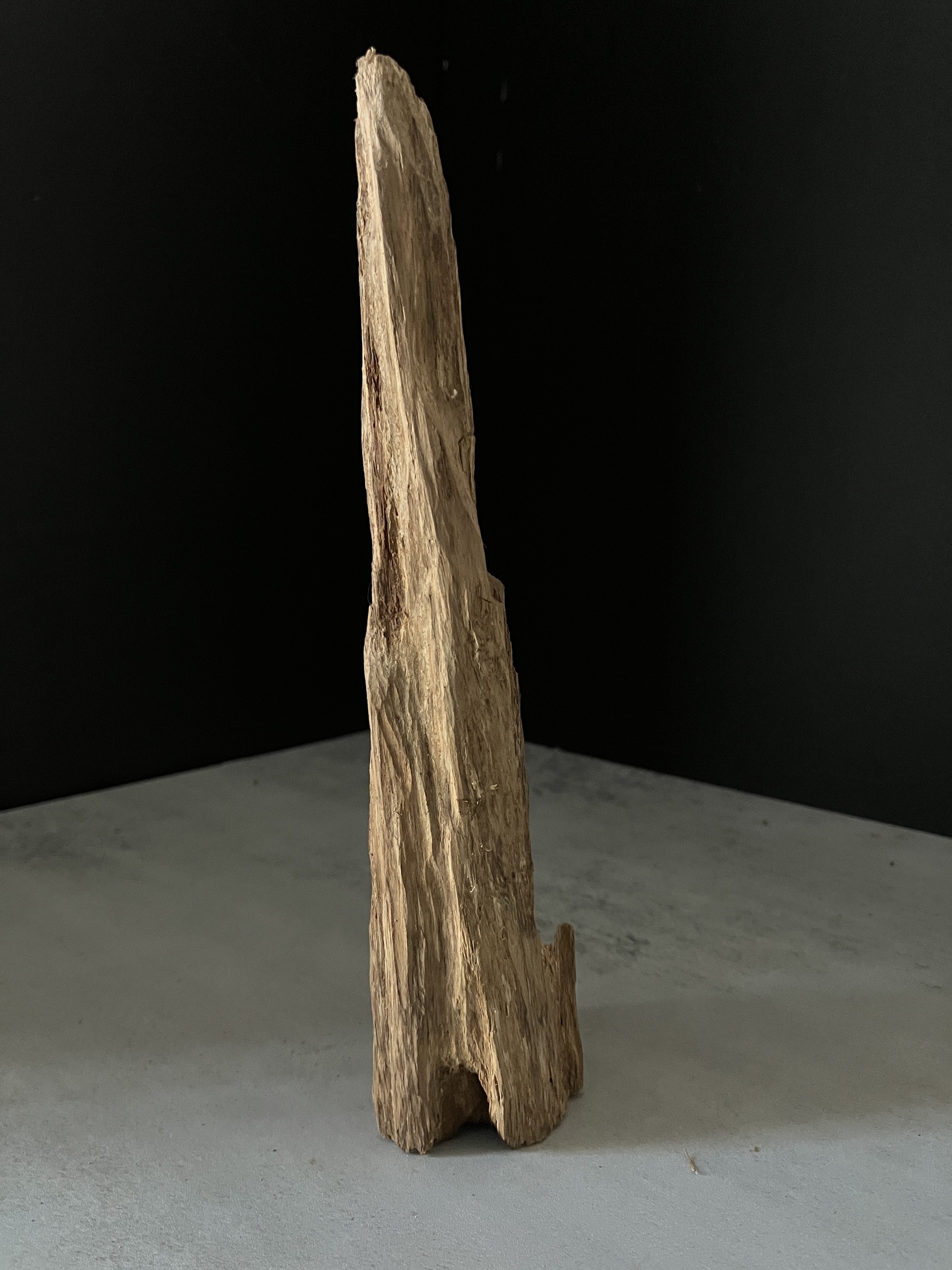 image_93FD688E-2B67-4FC8-A475-8749203EE64D_1765180596