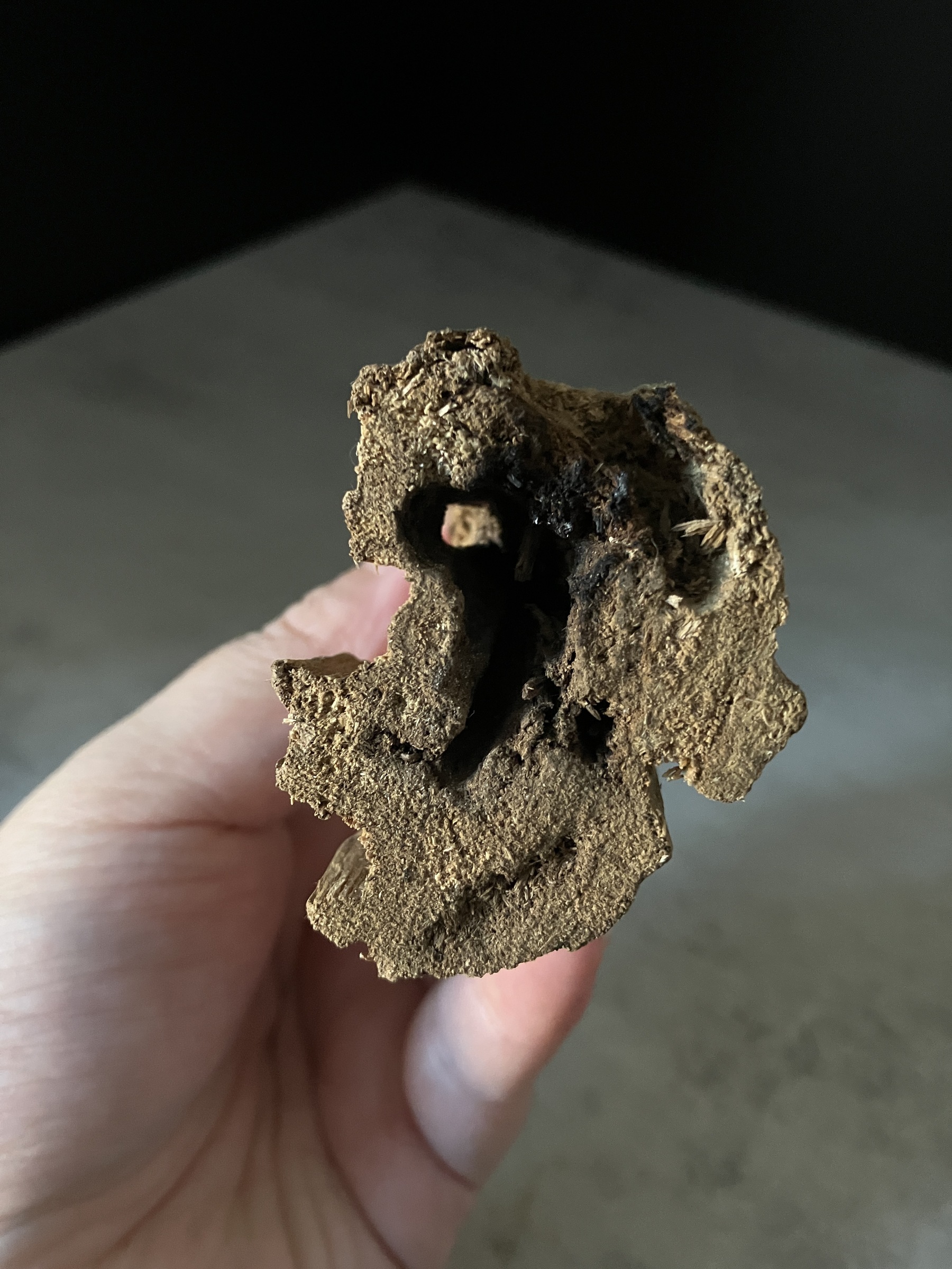 image_496AA65C-45ED-4626-9891-32586DFEA293_1765180596