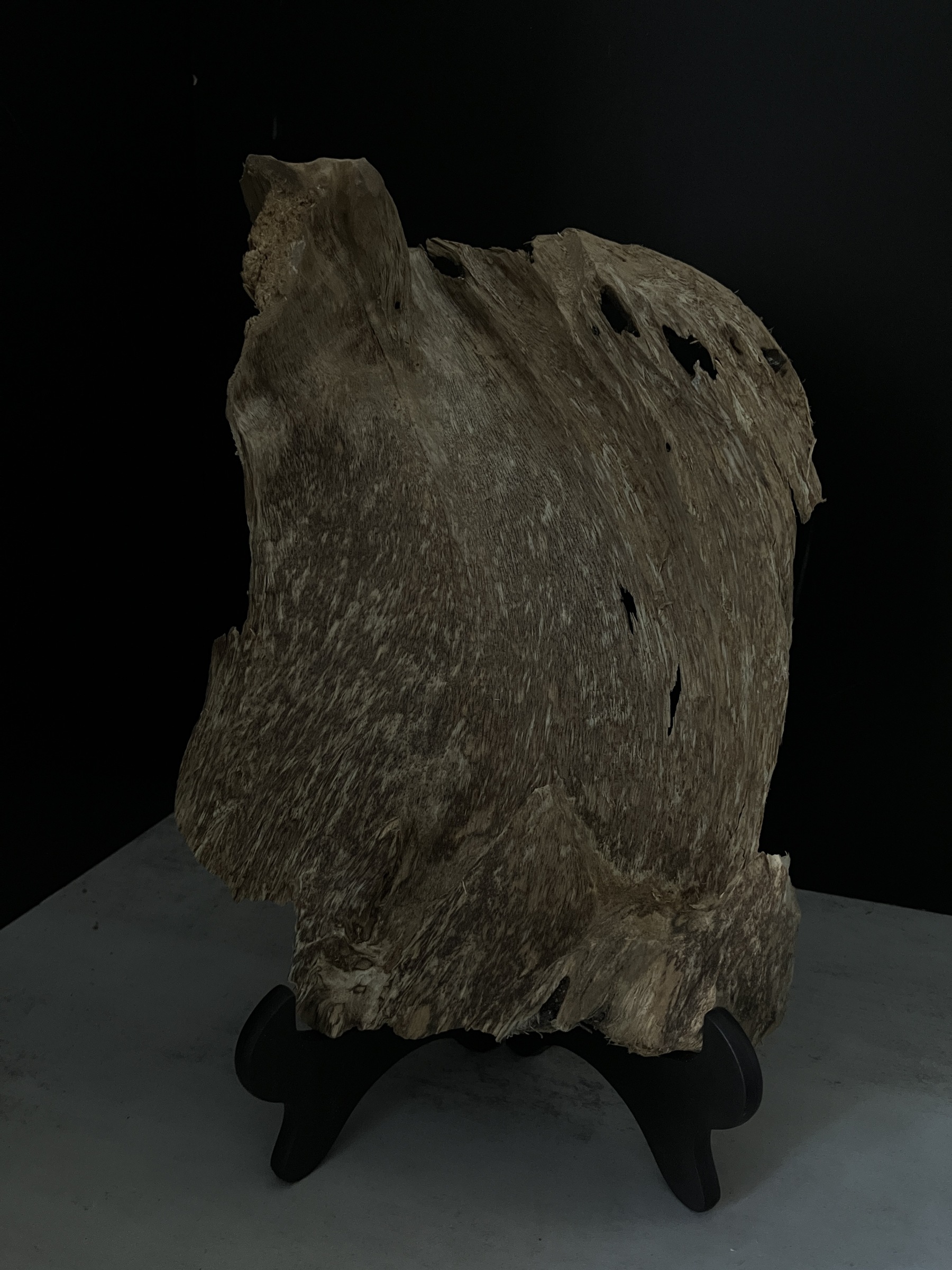 image_2E4578A0-9431-4488-A2D3-9DA179DAFB71_1765180762