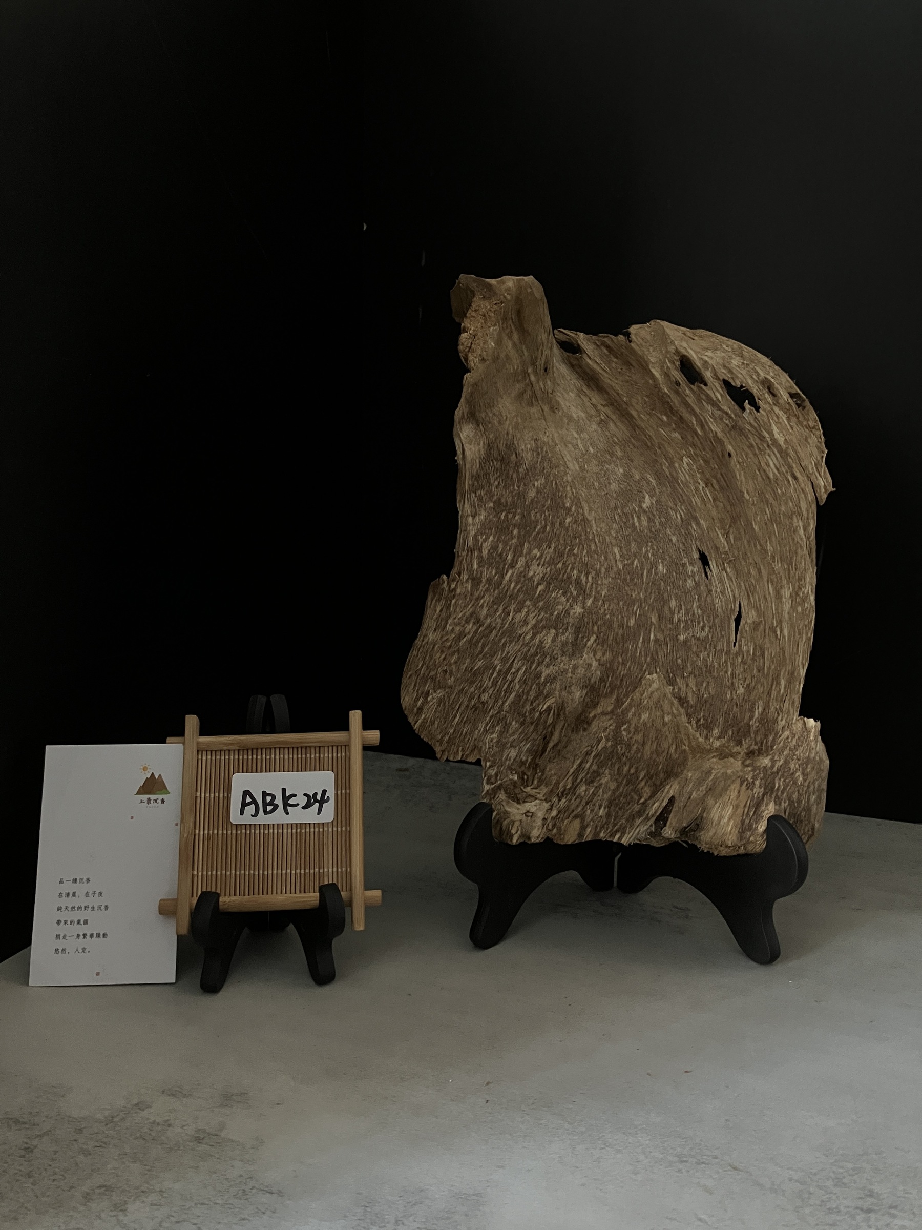 image_6AC665FD-4F49-4E6B-A13D-303941551795_1765180763