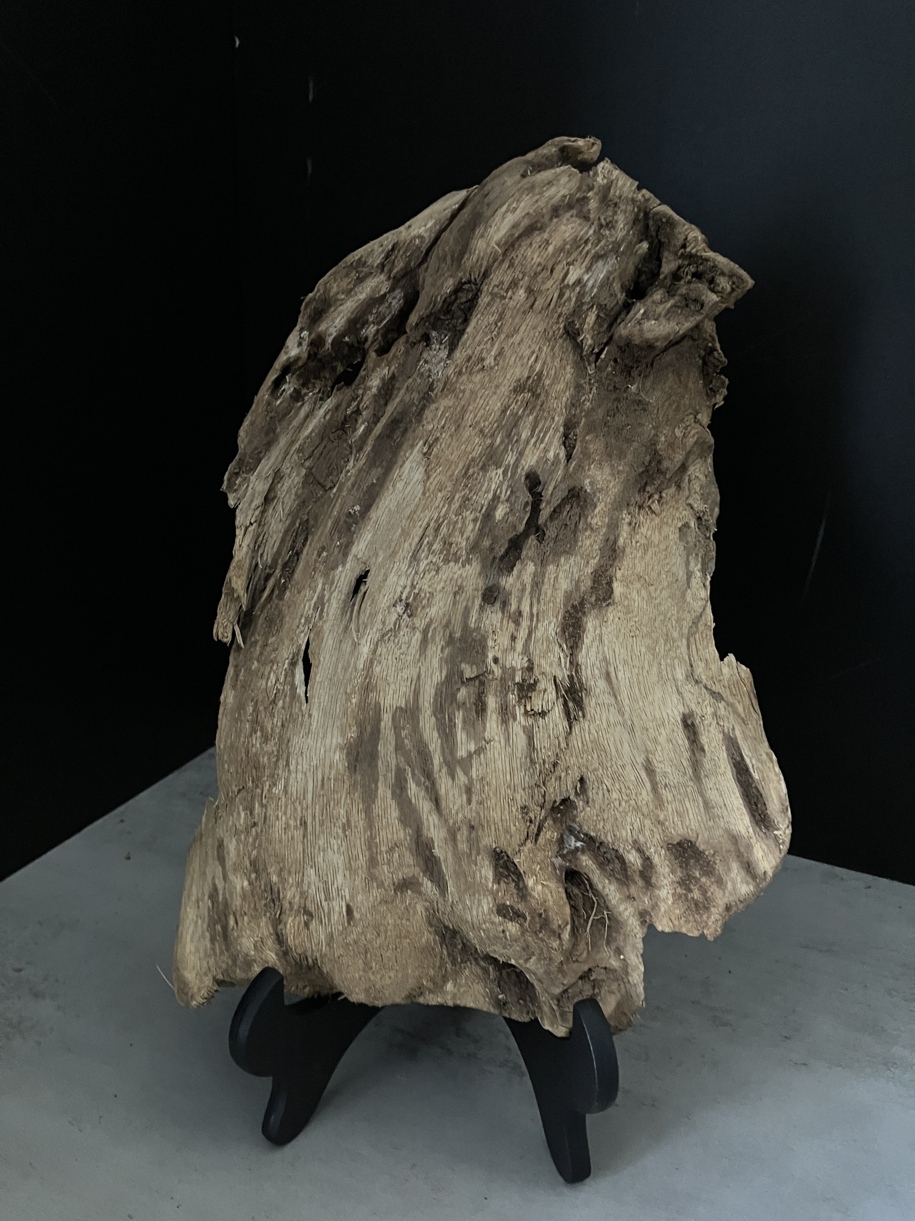 image_B8D74F5E-39E3-46C0-BCA4-B08143E2CF37_1765180763