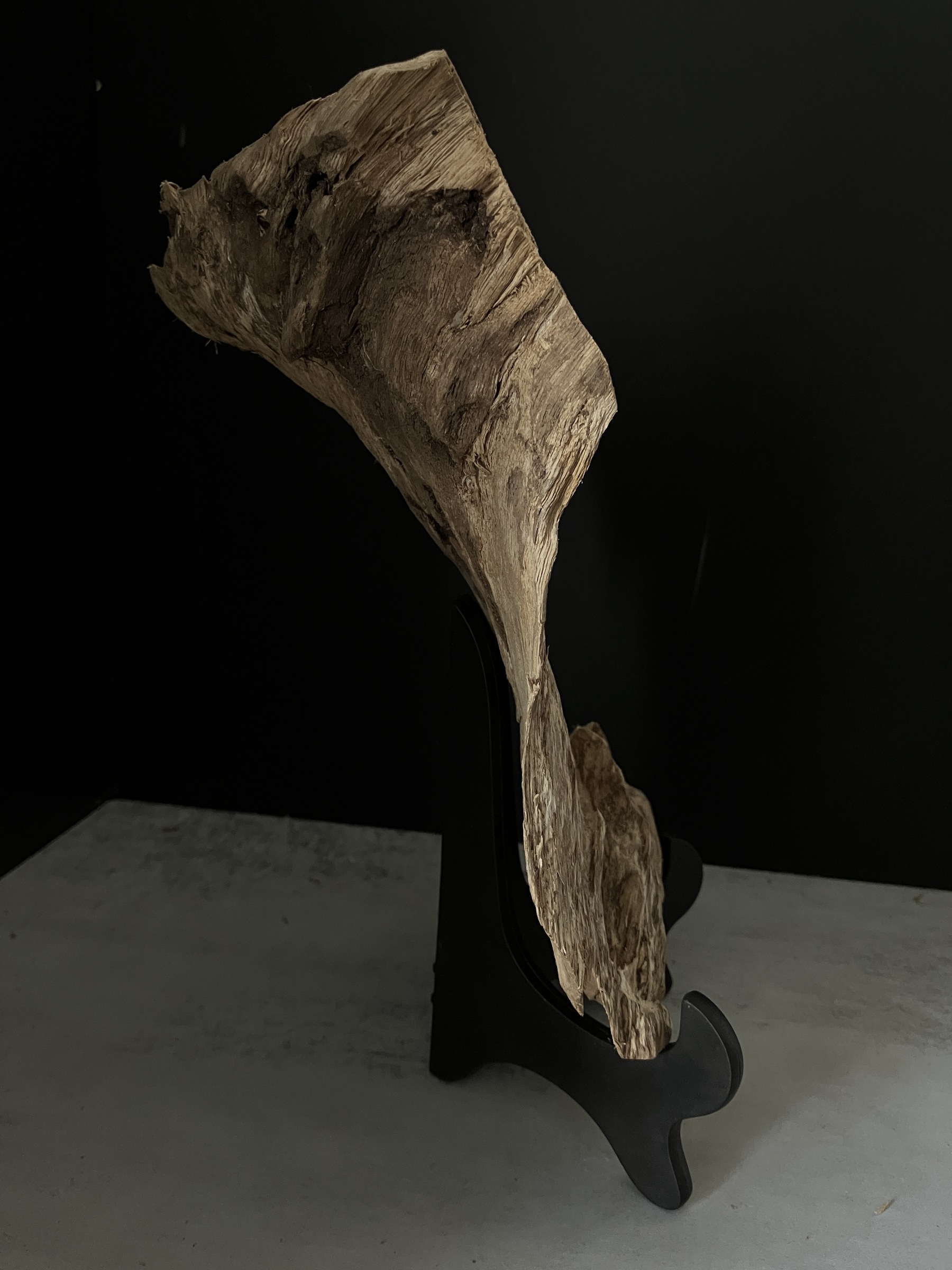 image_28BE7A80-2364-4BE0-84D3-2E58A98BAD3D_1765180763