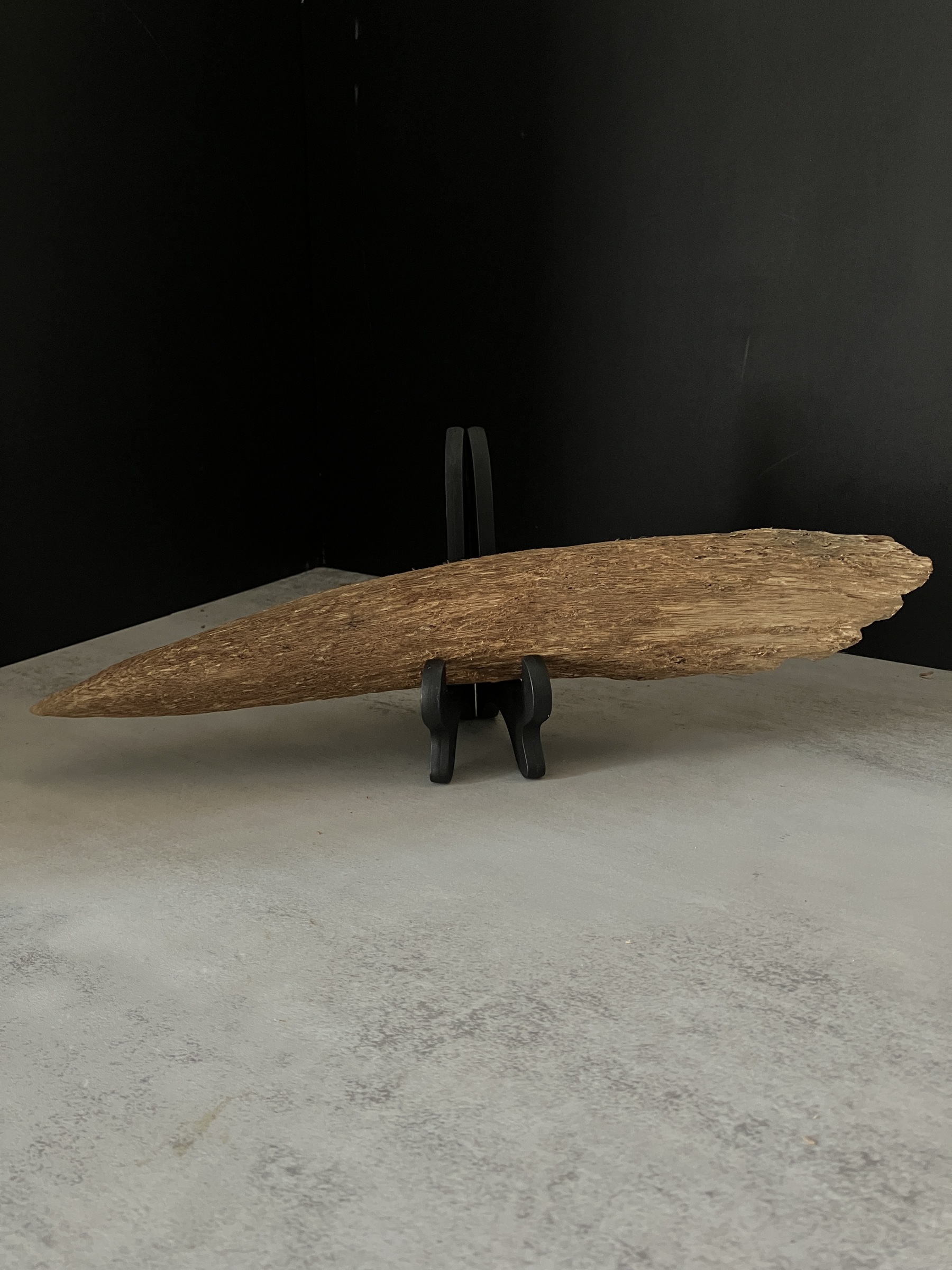 image_56DF1332-D66D-496E-AAF3-1D8ADEA25FFA_1765180915