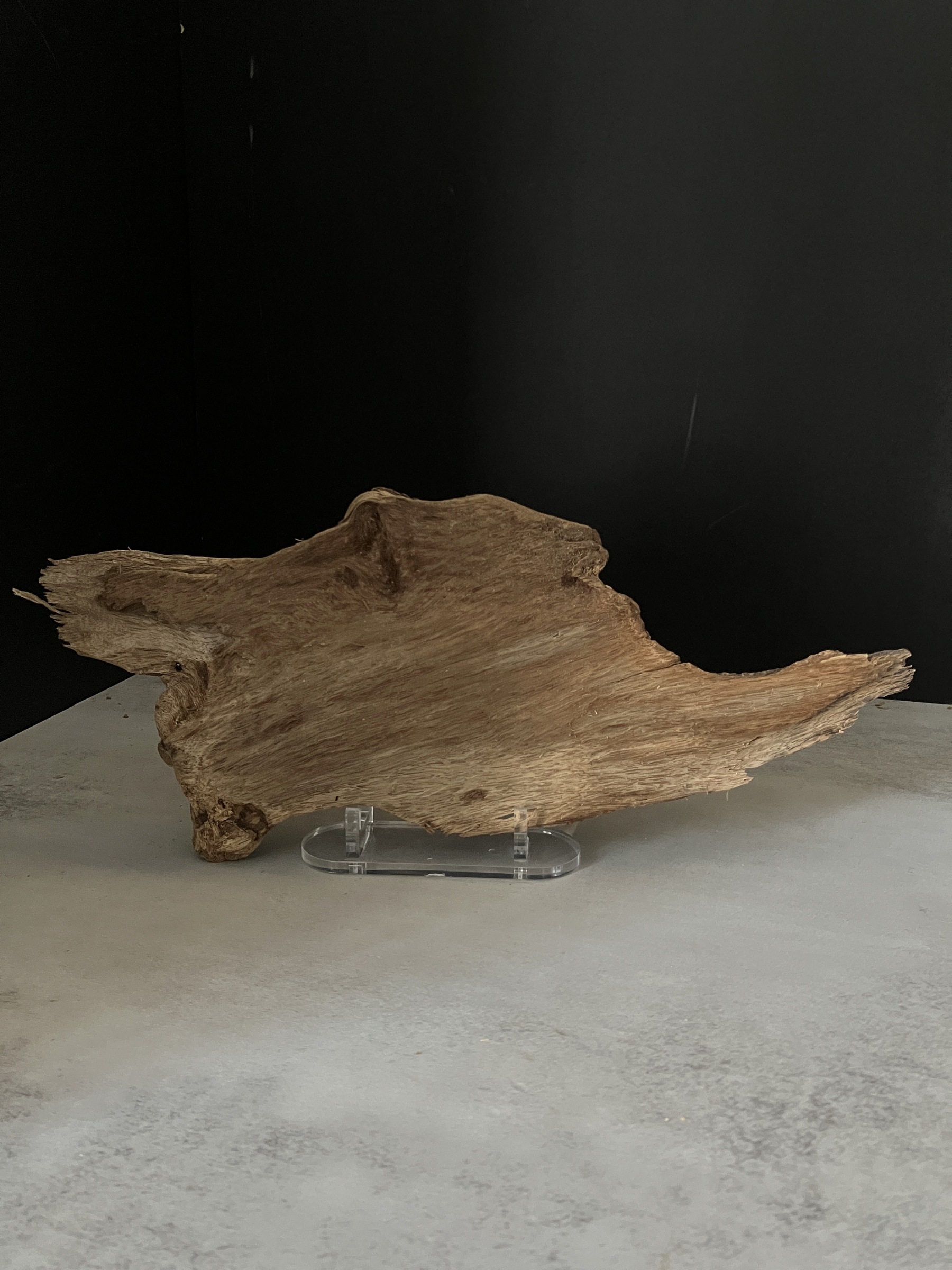 image_6CF31F5A-9F82-4F0C-89F2-E3ED2E47420D_1765181061