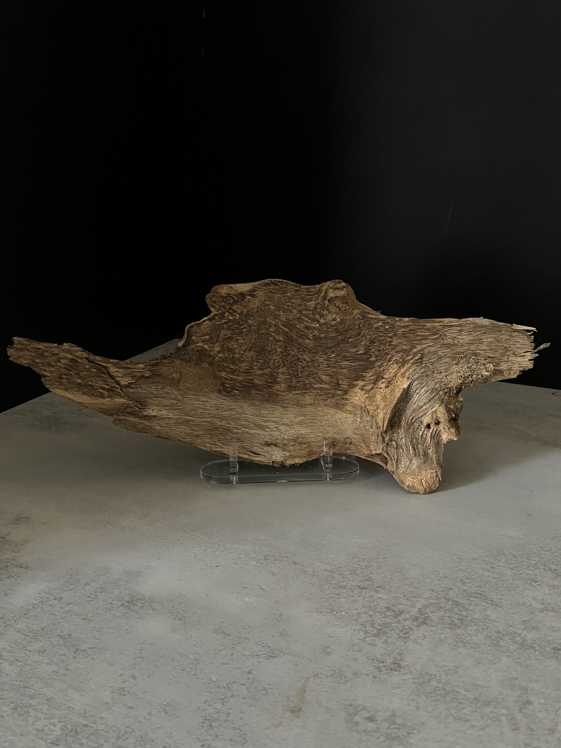 image_2400FE7F-26F0-4933-AE4A-1313D8E7B2CF_1765181061