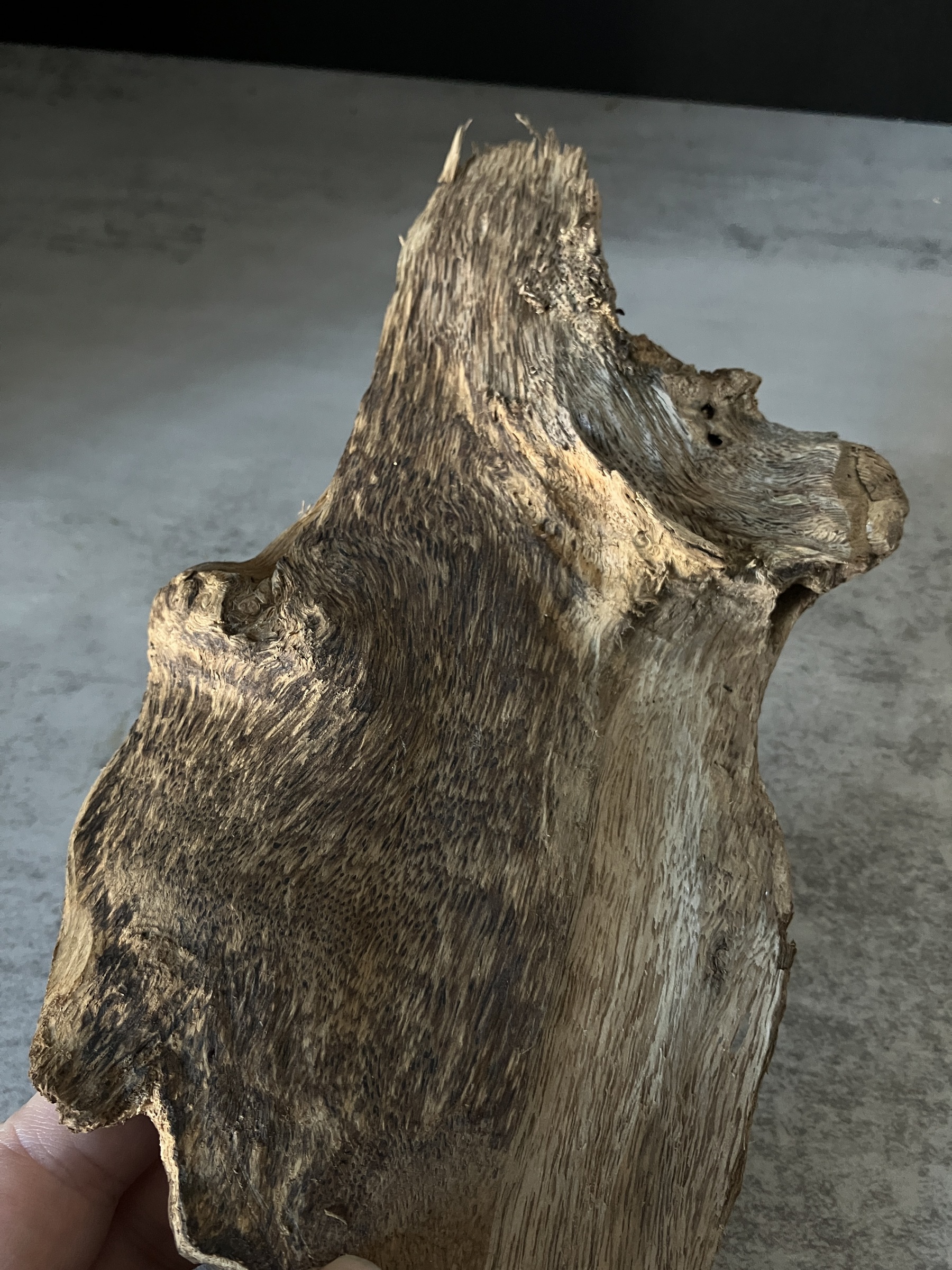 image_E1E7A5C7-AEA7-4648-B796-3E776F29FD70_1765181061