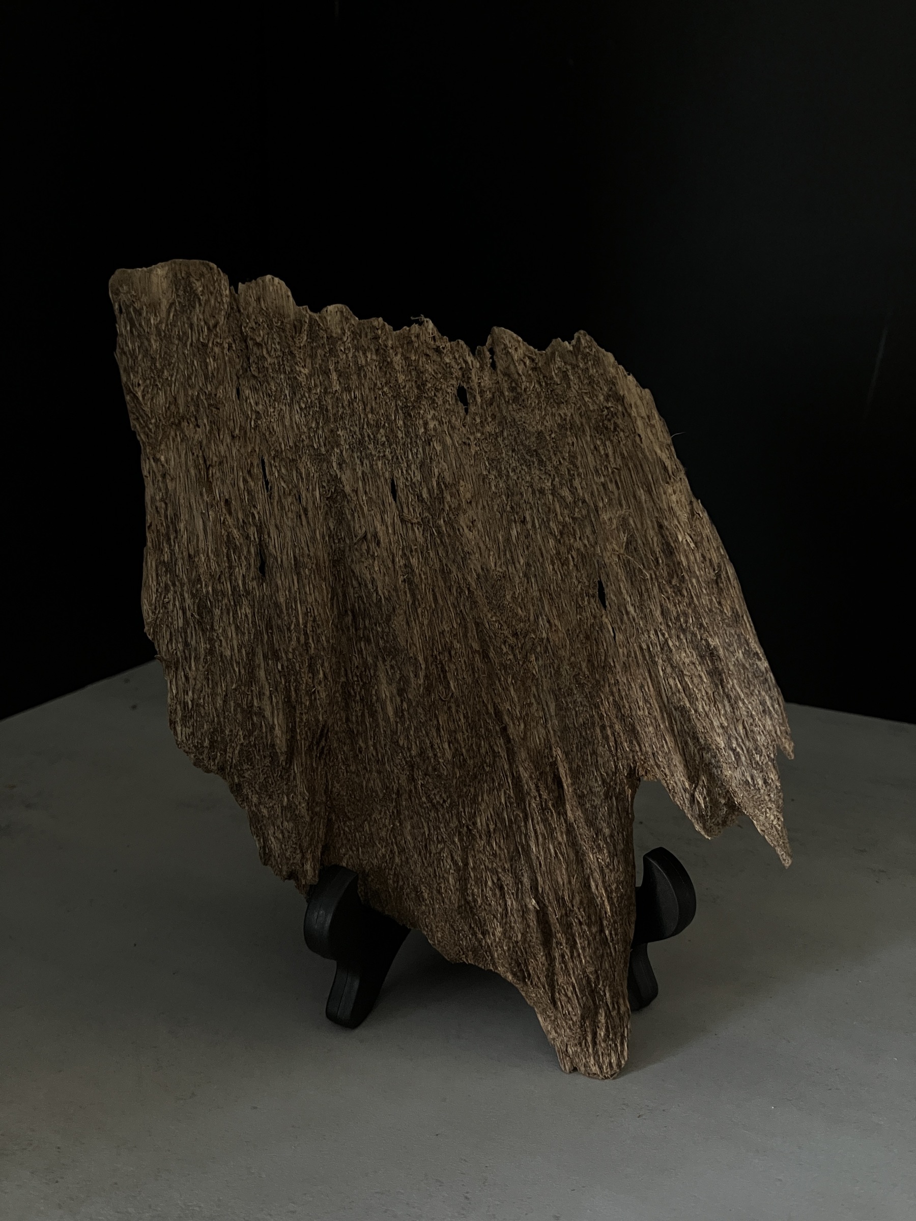 image_7094BA12-7D9F-43AD-B6A8-BB3FBF123CBB_1765181126