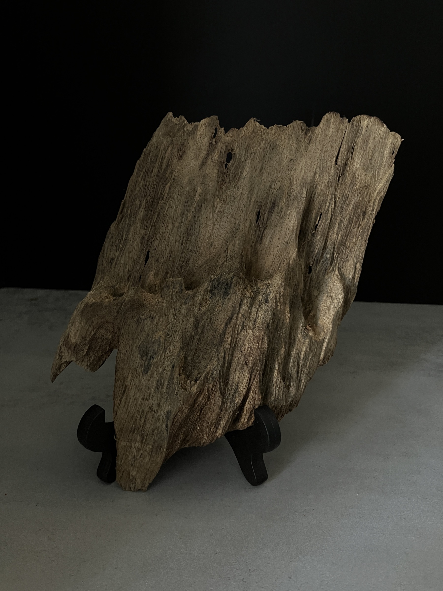 image_5E74D2C9-90FB-402D-AA02-247733E54C21_1765181126