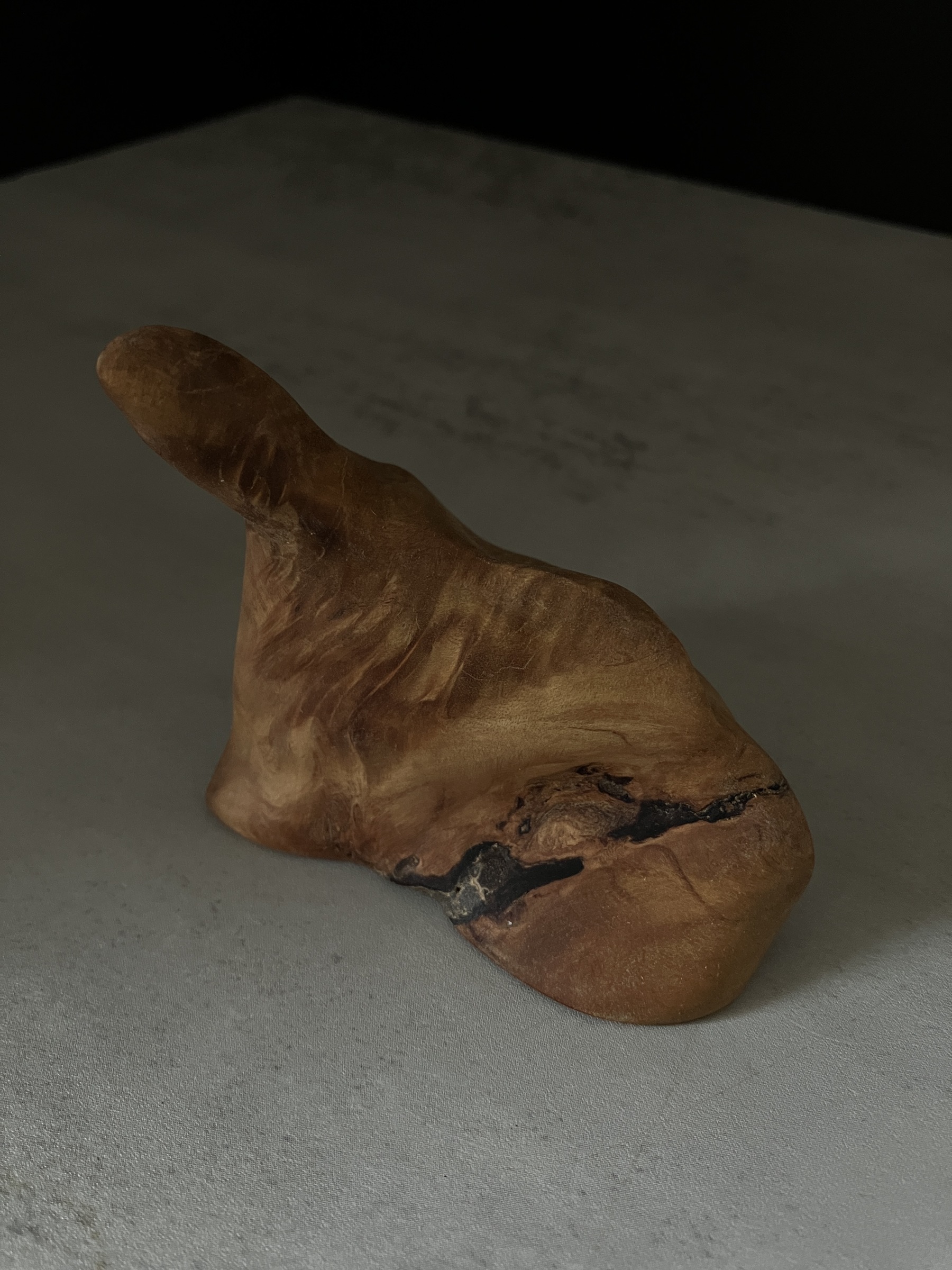 image_3AF9ED3A-DDB0-45D9-9603-D9F20B6A346D_1765955194