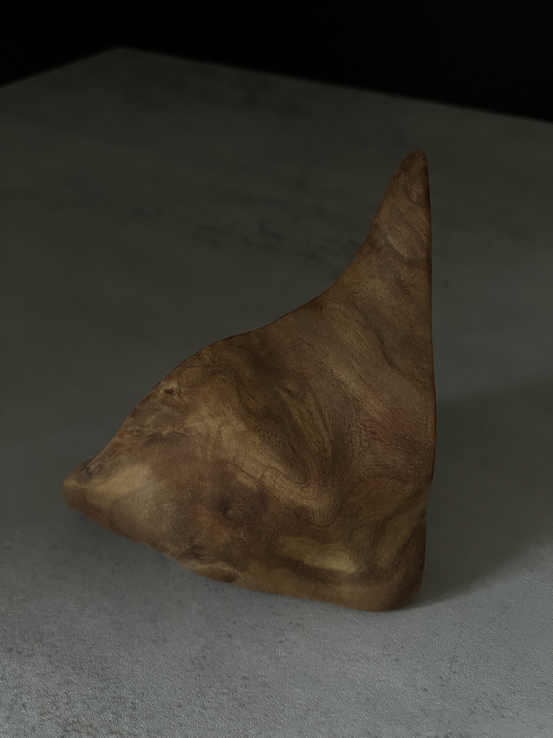 image_841810B8-4D4C-45A0-8D8B-46CBBB3E4DB6_1765955194