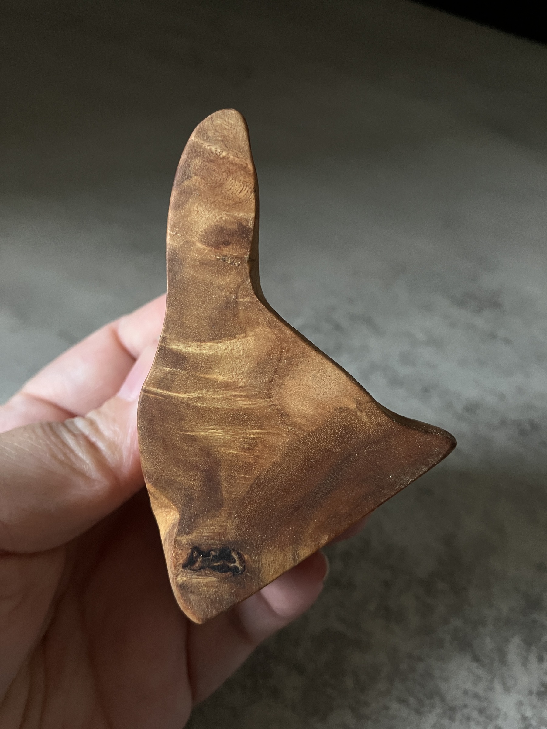 image_44A7324B-9C18-4275-96C4-B114E97EB724_1765955194