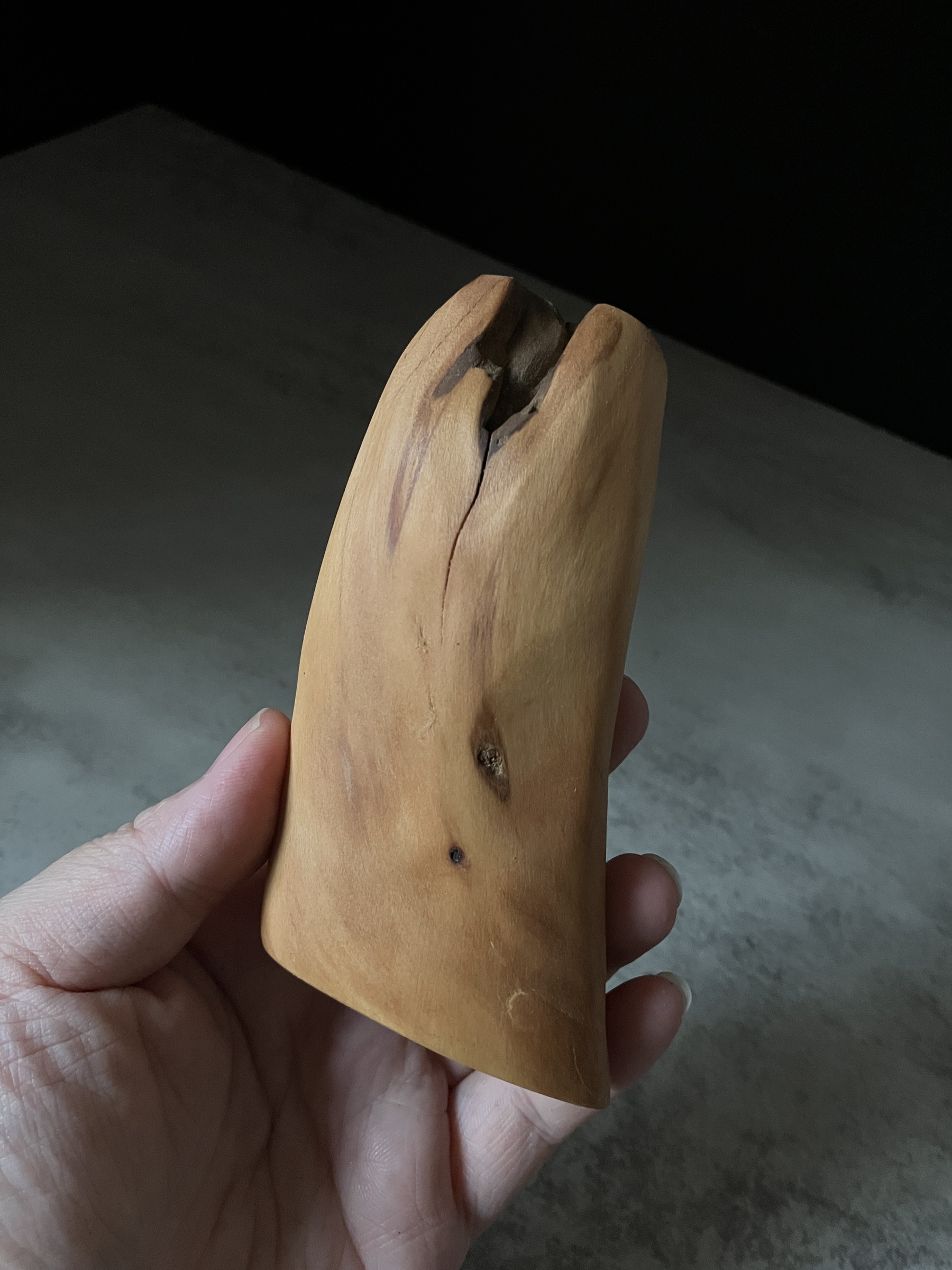 image_58392E11-67B0-4BD0-8BEC-0BF282475FC3_1765955729