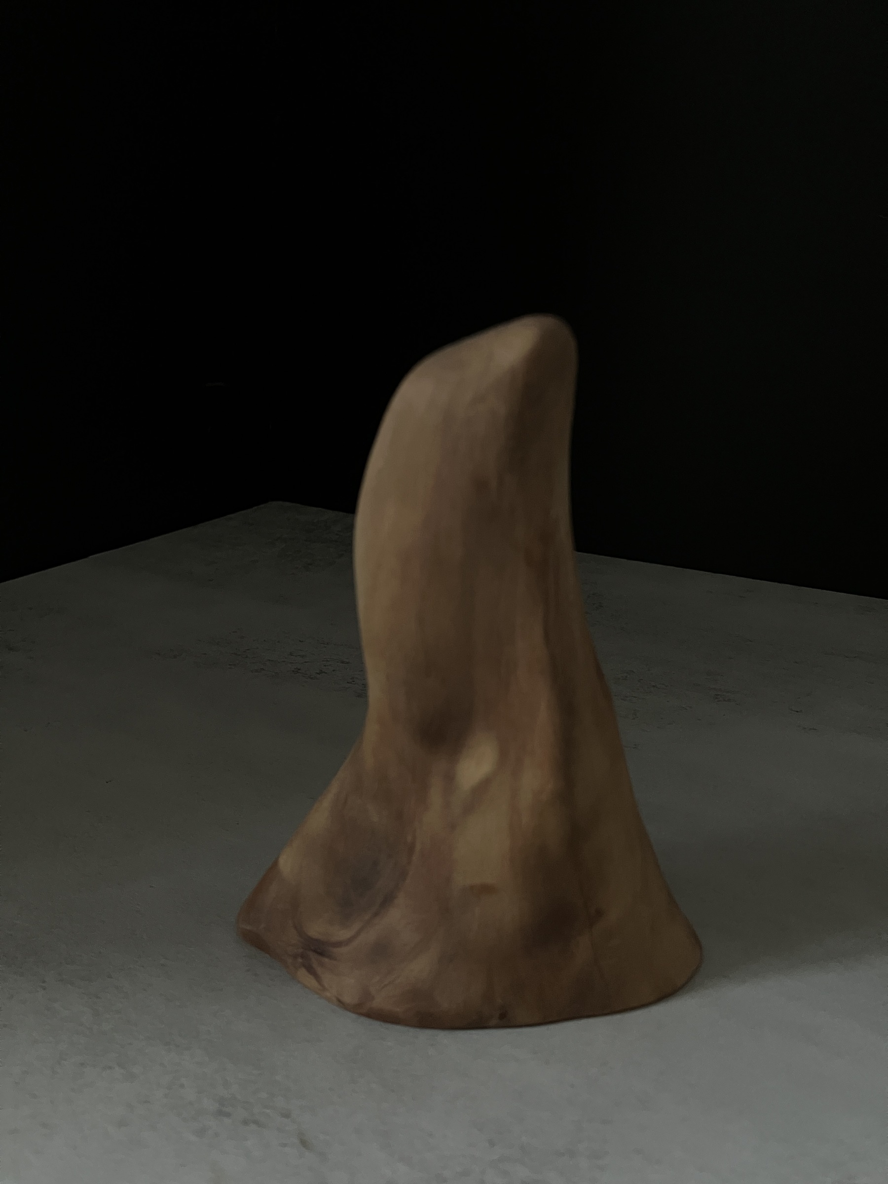 image_56C18B0B-6482-4251-809C-4CC283CE5A68_1765955861